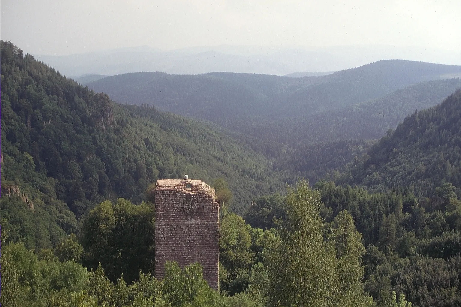 Photo showing: Burg Nideck