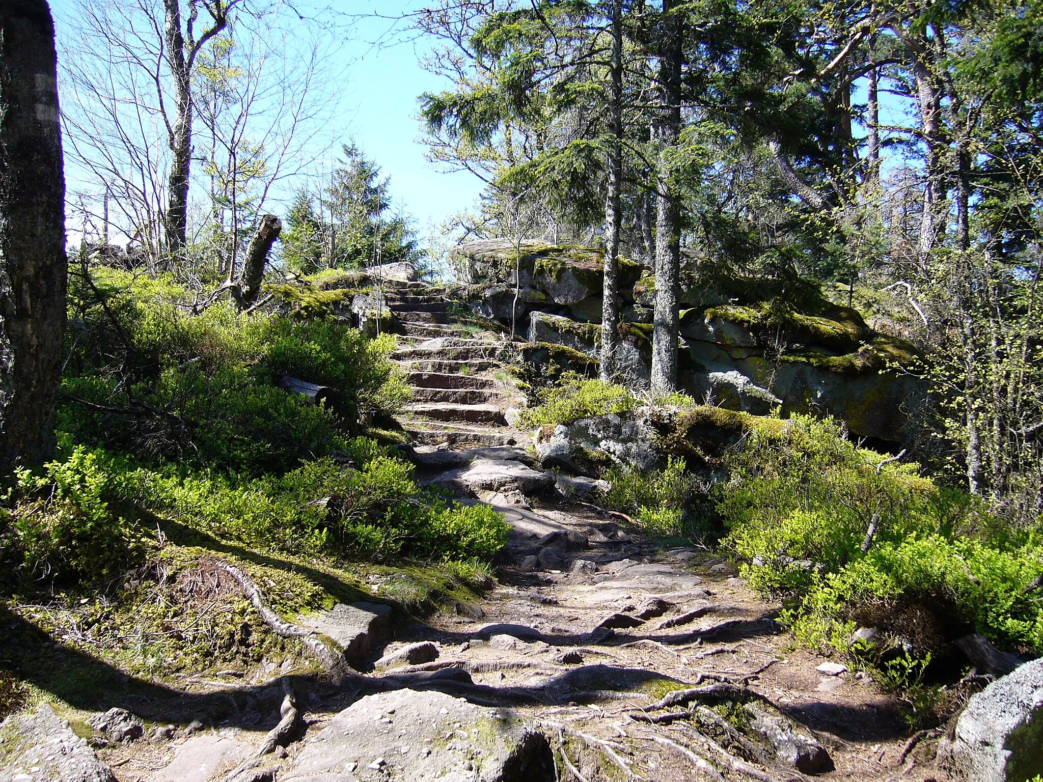 Photo showing: Sentier qui débouche sur le rocher des reptiles