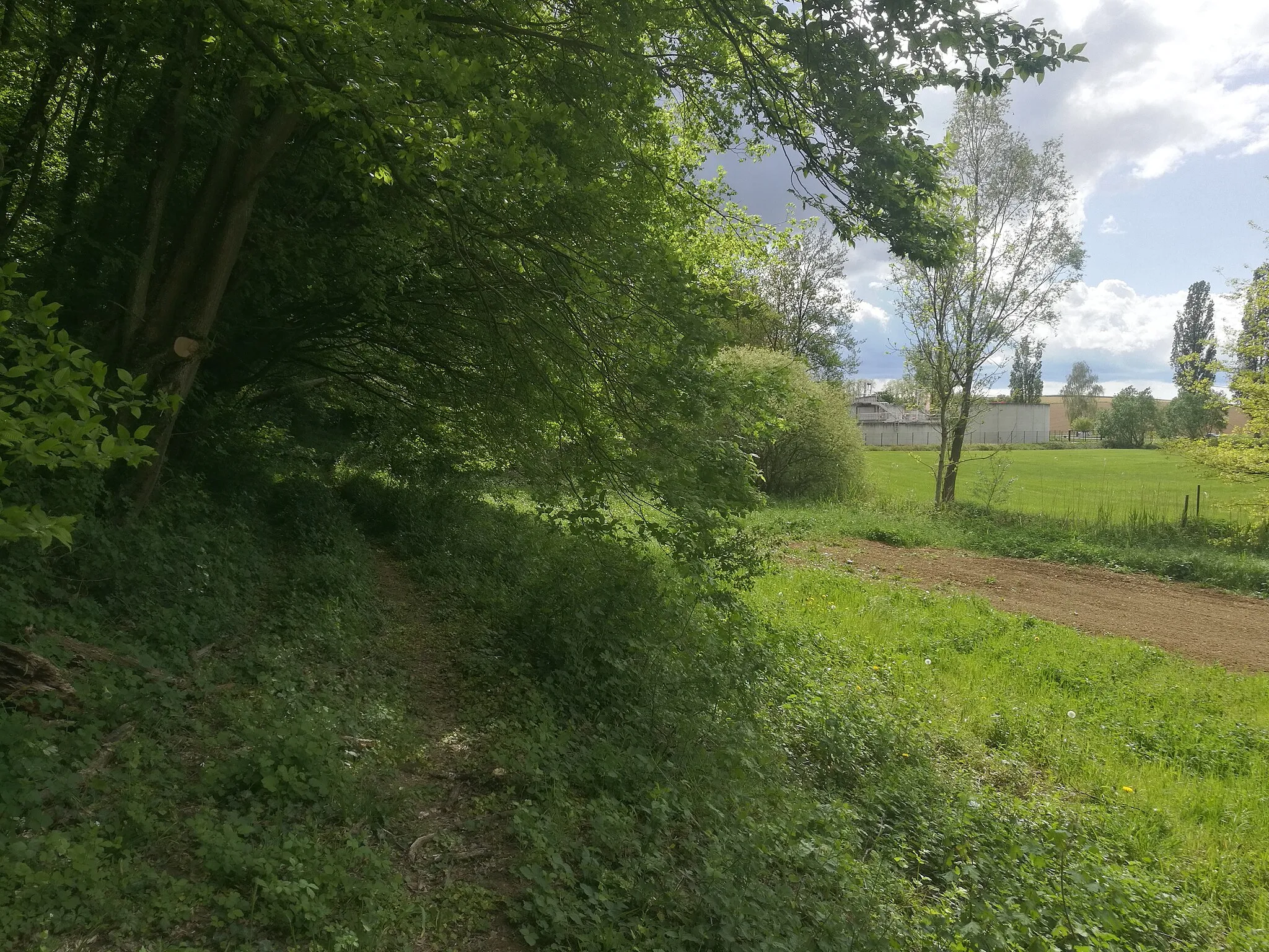 Photo showing: Station d'épuration du Sivom du Rohrbach en bordure de la forêt de Gougenheim