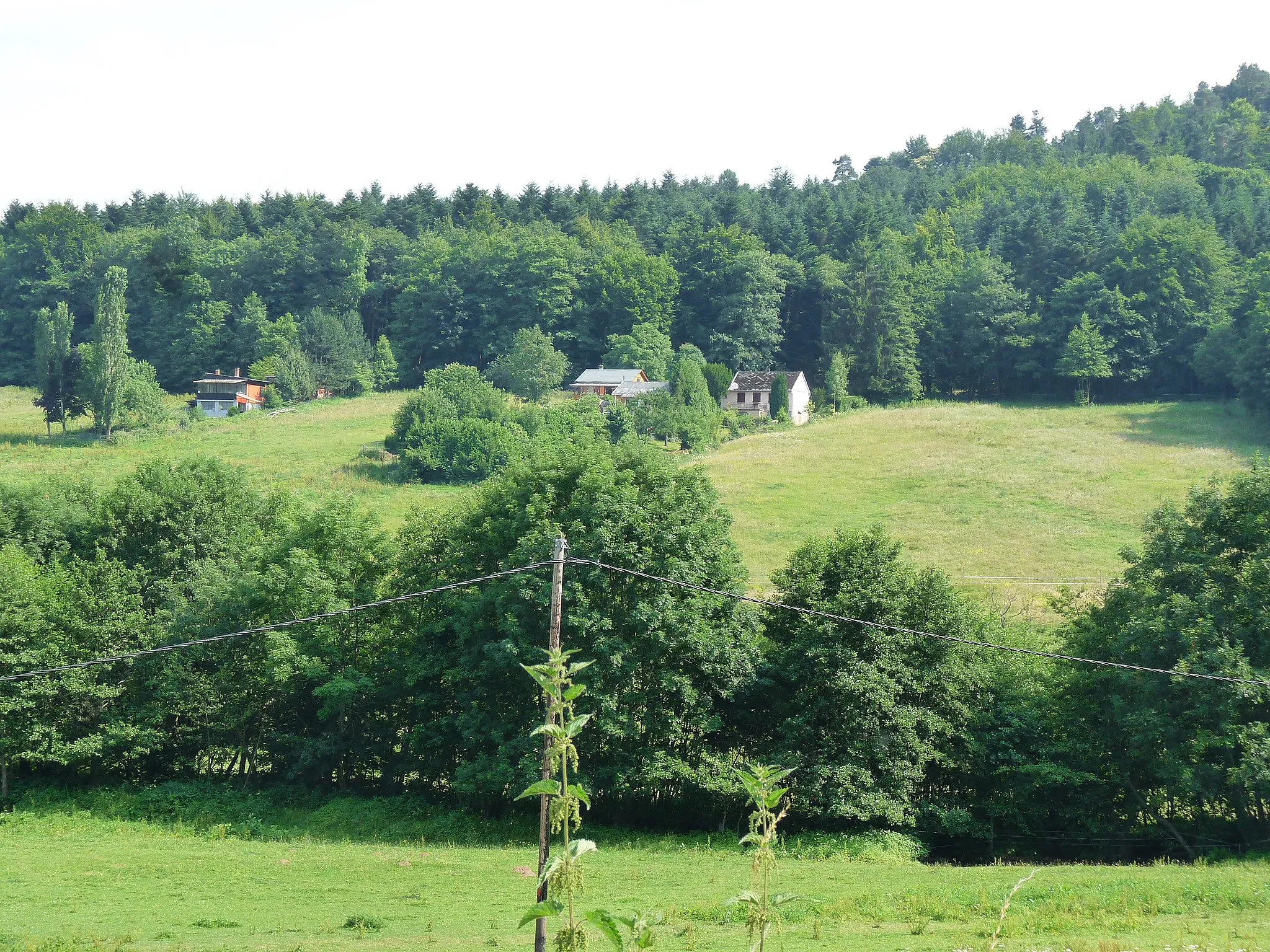 Photo showing: Vallée de la Magel (affluent de la Bruche) à Laubenheim (Mollkirch, Bas-Rhin)