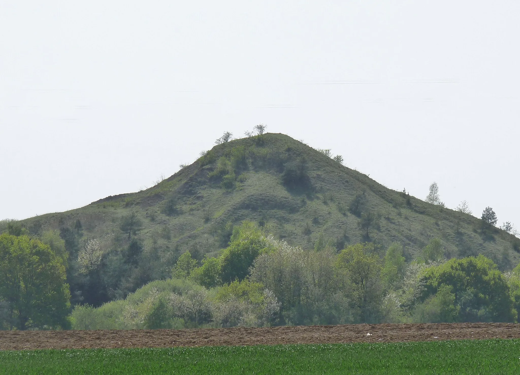 Photo showing: Terril à Merkwiller-Pechelbronn (Bas-Rhin)