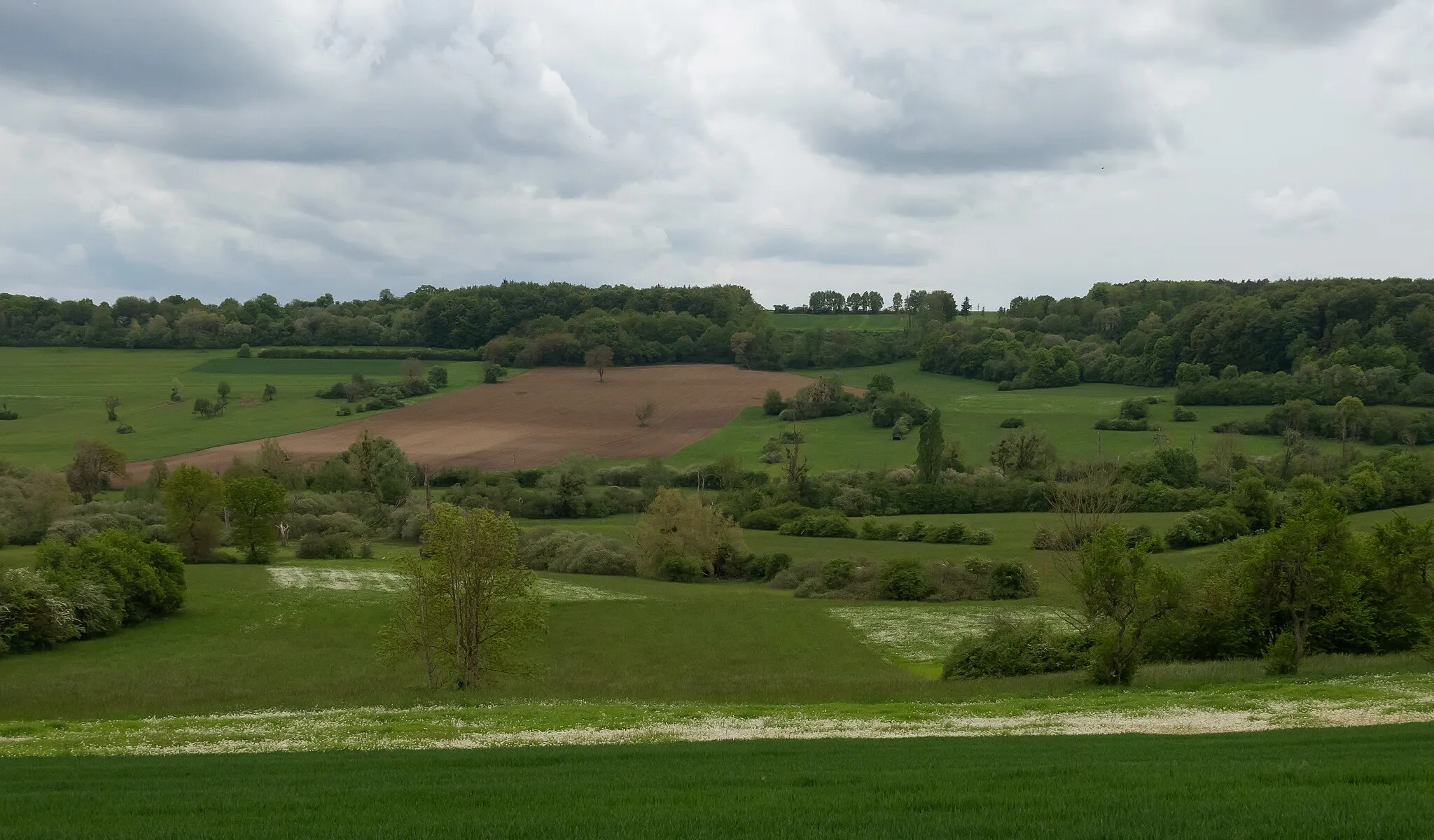 Photo showing: between Rimsdorf and Mackwiller, panorama
