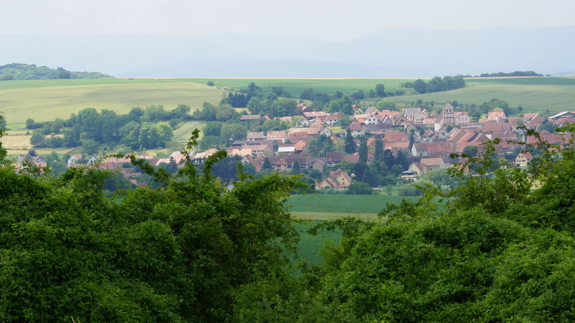 Photo showing: Vue sur Willgottheim