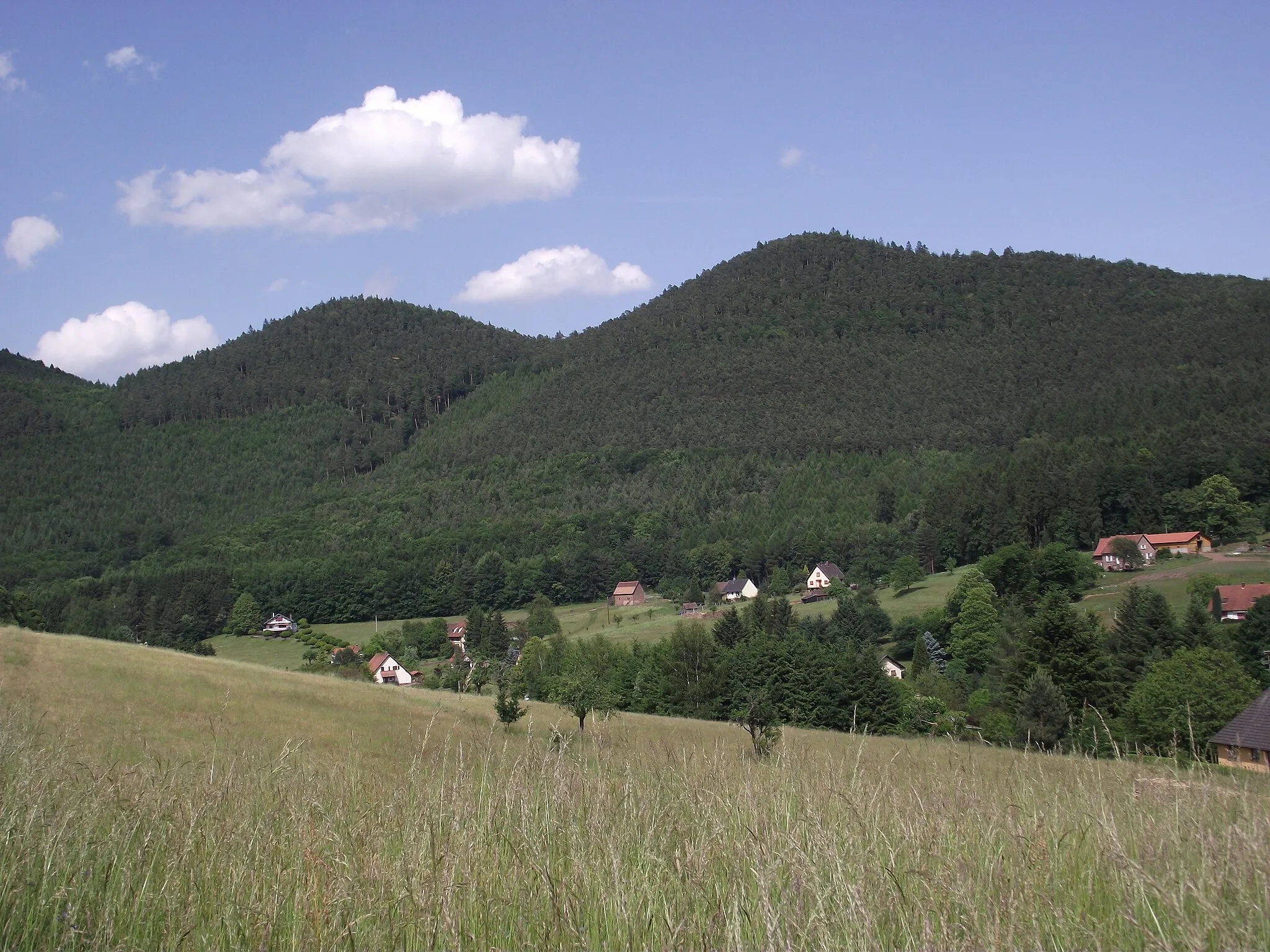 Photo showing: Aspect des Vosges du Nord à Windstein. Sommets du Mittelkopf (515 m) à gauche et du Steinkopf (515 m) à droite