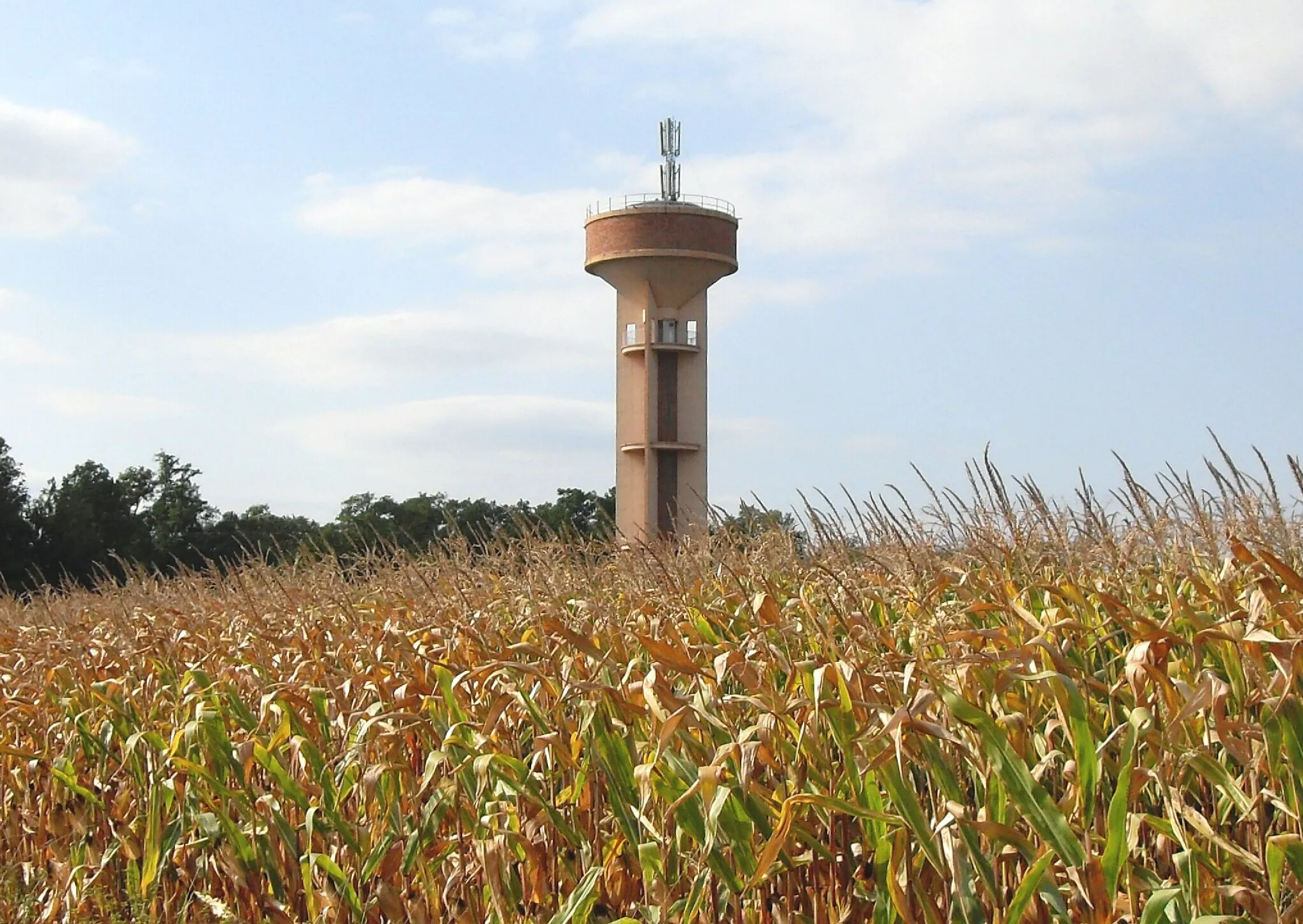 Photo showing: Le château d'eau de Baltzenheim