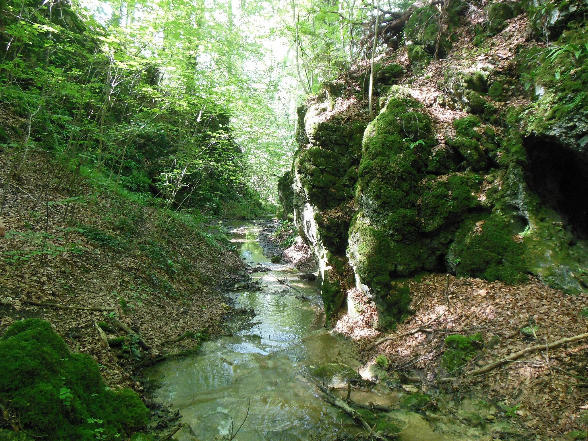 Photo showing: Vue vers l'aval du canyon