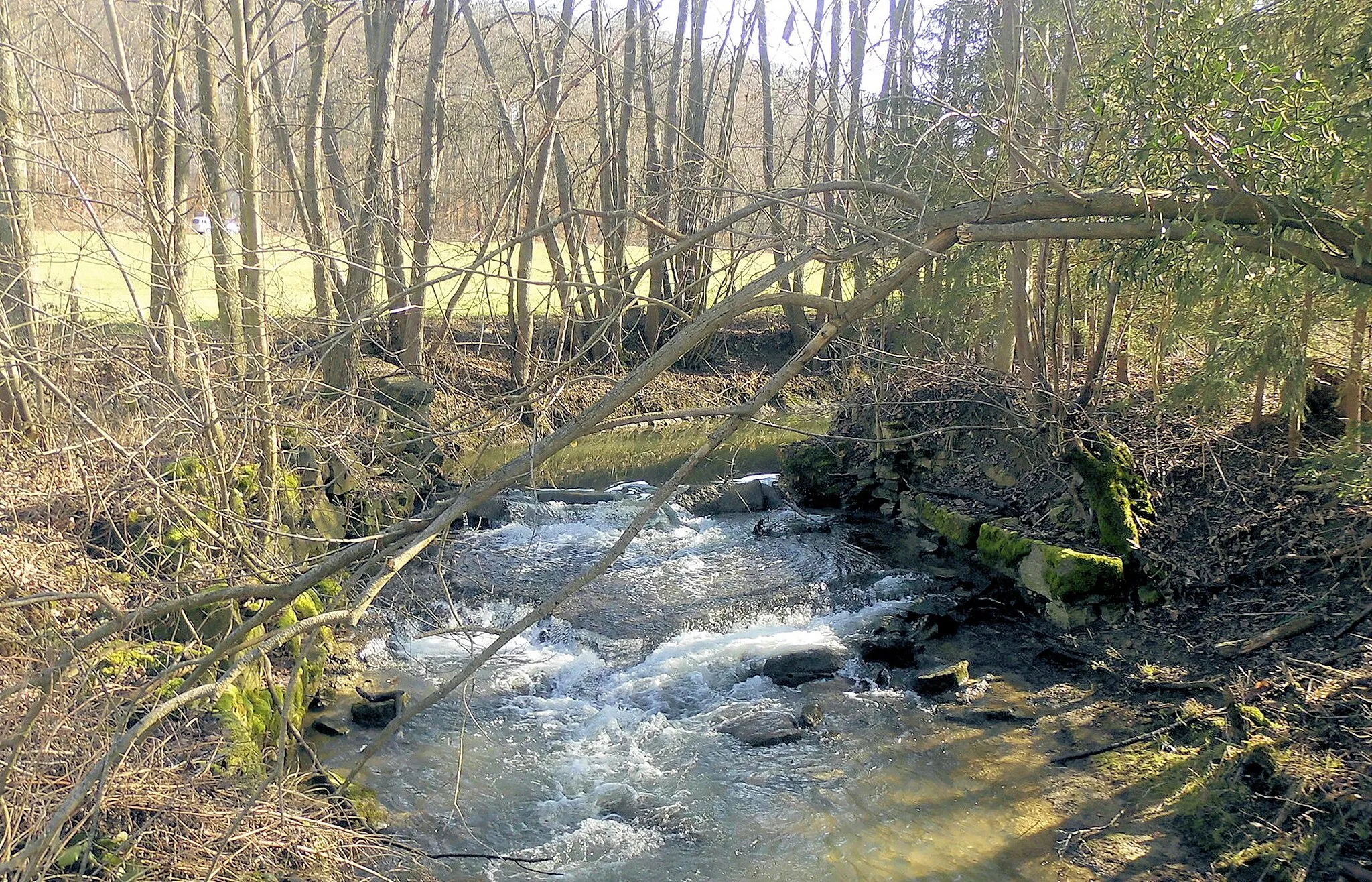 Photo showing: Le Thalbach à Hausgauen