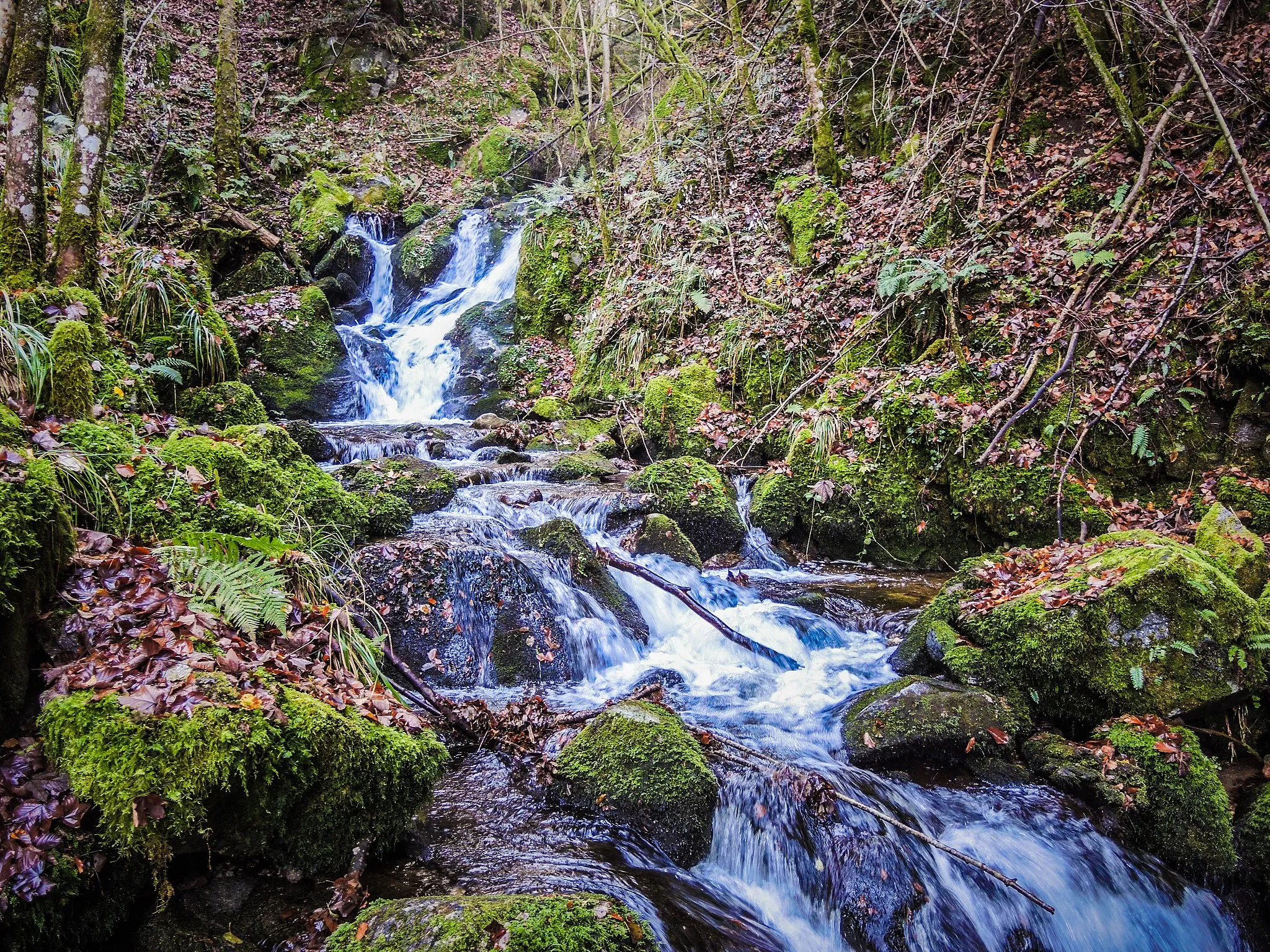 Photo showing: Cascade saint Nicolas. Kruth, Haut-Rhin.