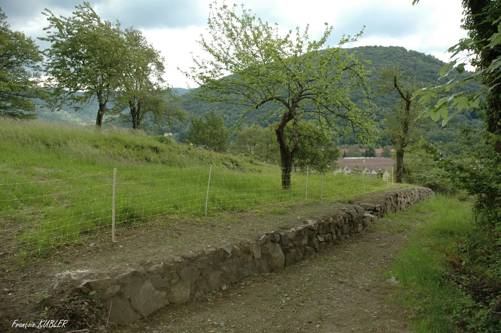 Photo showing: Mur en pierres sèches au lieu dit "le Lager" à Malmerspach