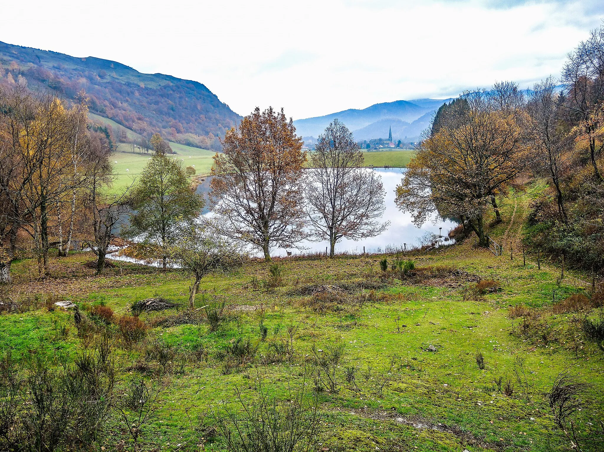 Photo showing: Etang du Maerel. Oderen, Haut-Rhin.