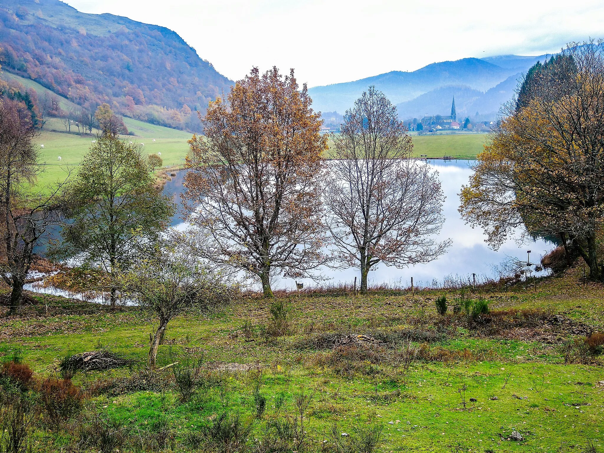 Photo showing: Etang du Maerel. Oderen, Haut-Rhin