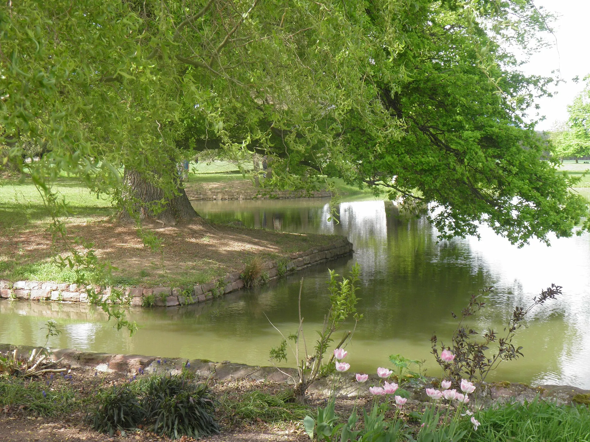 Photo showing: Parc de Schoppenwihr à Ostheim (Haut-Rhin, France).