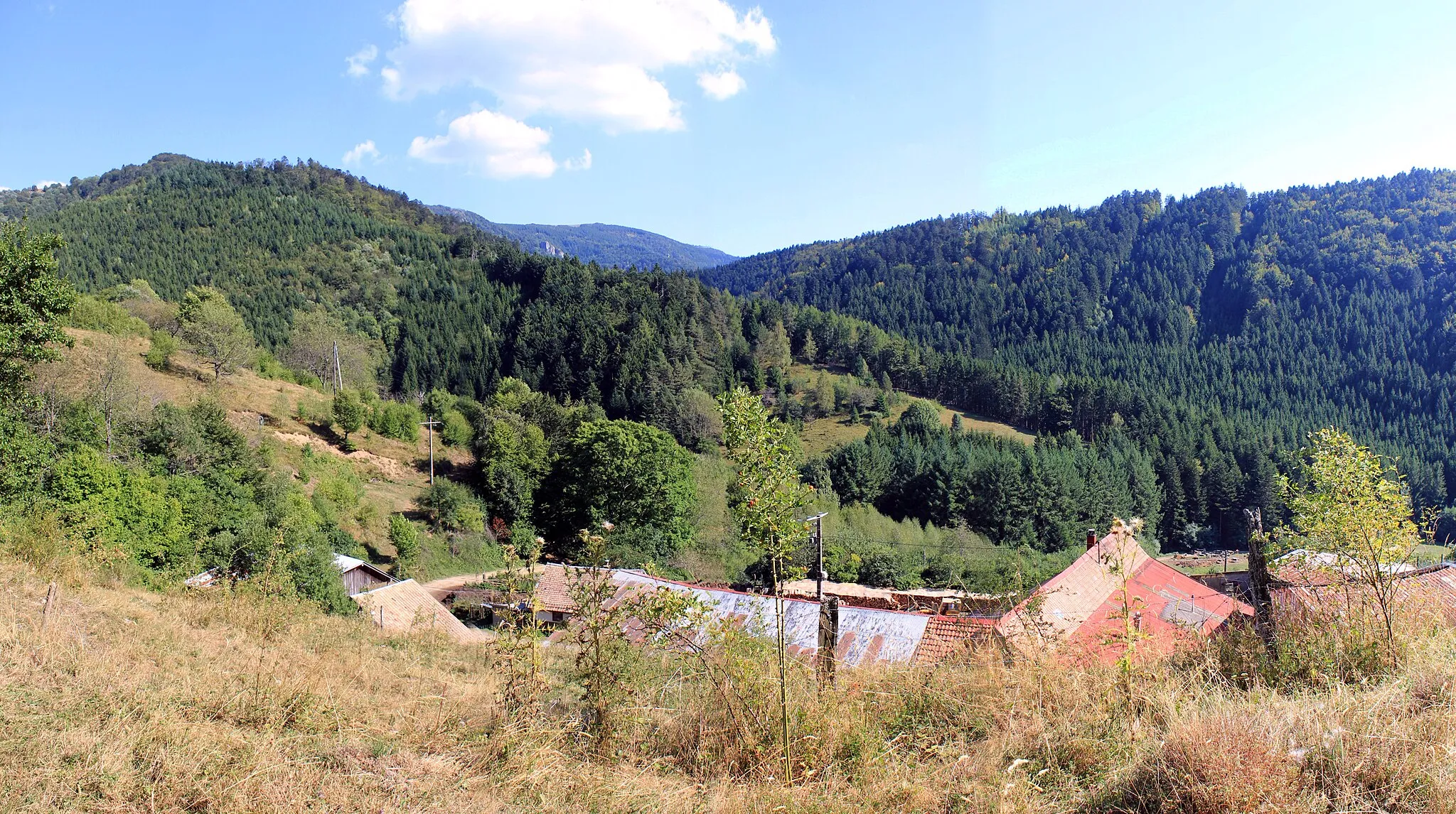 Photo showing: Au fond le massif des Vogelsteine ( vue depuis le Ruchberg à Rimbach près Masevaux)  (Panoramique 05/09/2013)