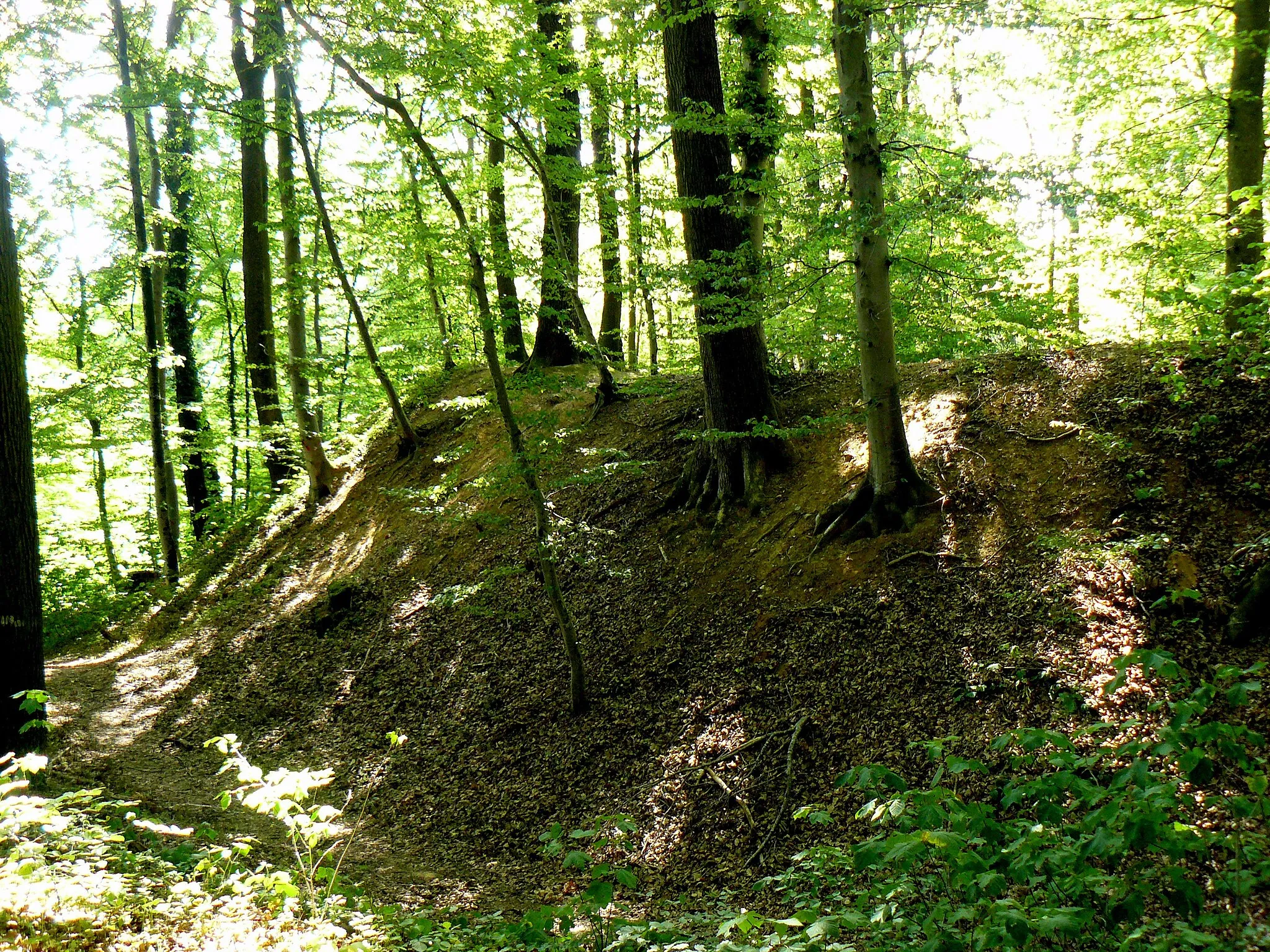 Photo showing: Détail du "camp romain" de Willer (Haut-Rhin, France), à proximité de la voie romaine. Origine controversée.