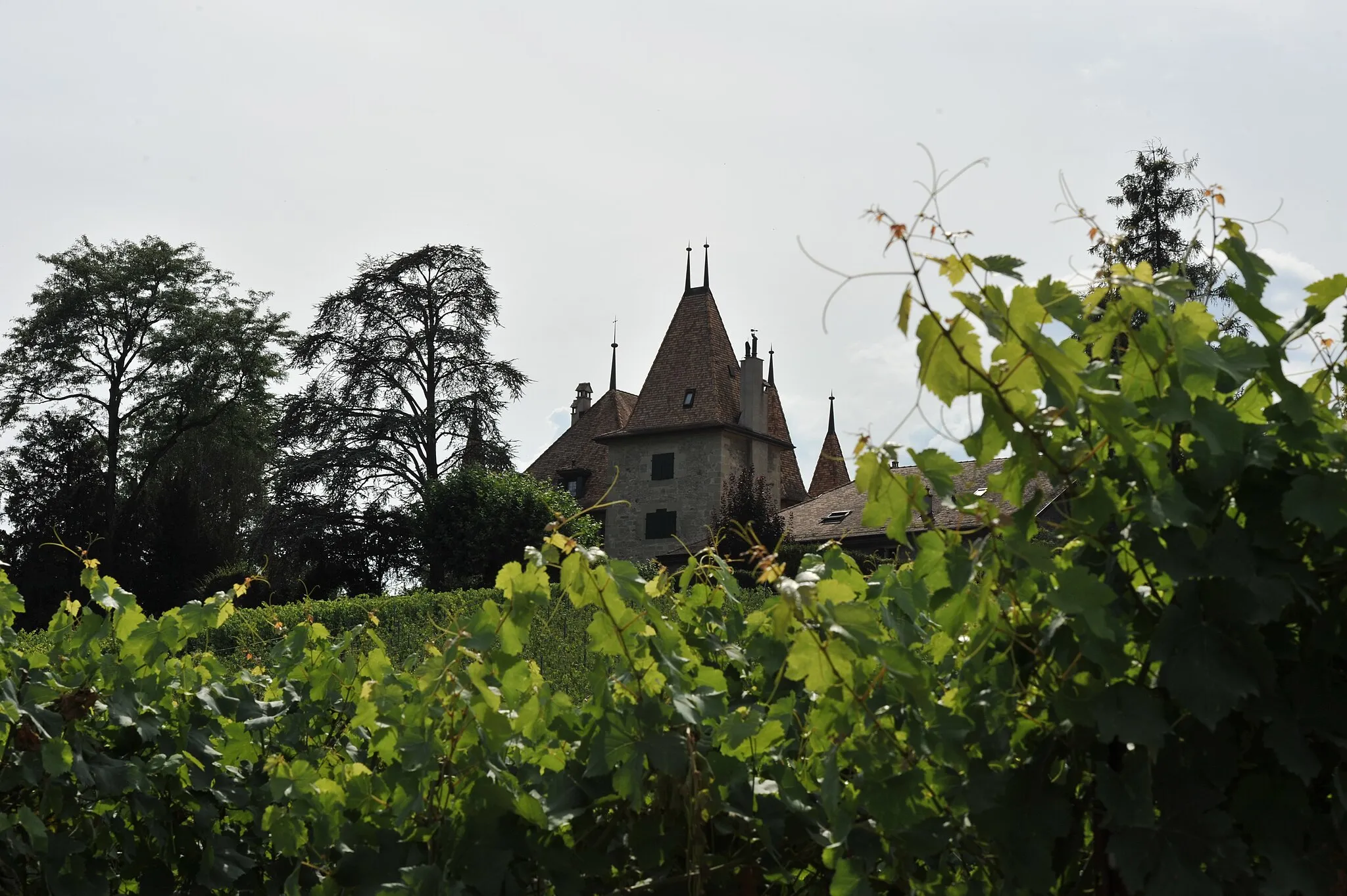 Photo showing: Echandens Castle in Echandens, Vaud, Switzerland