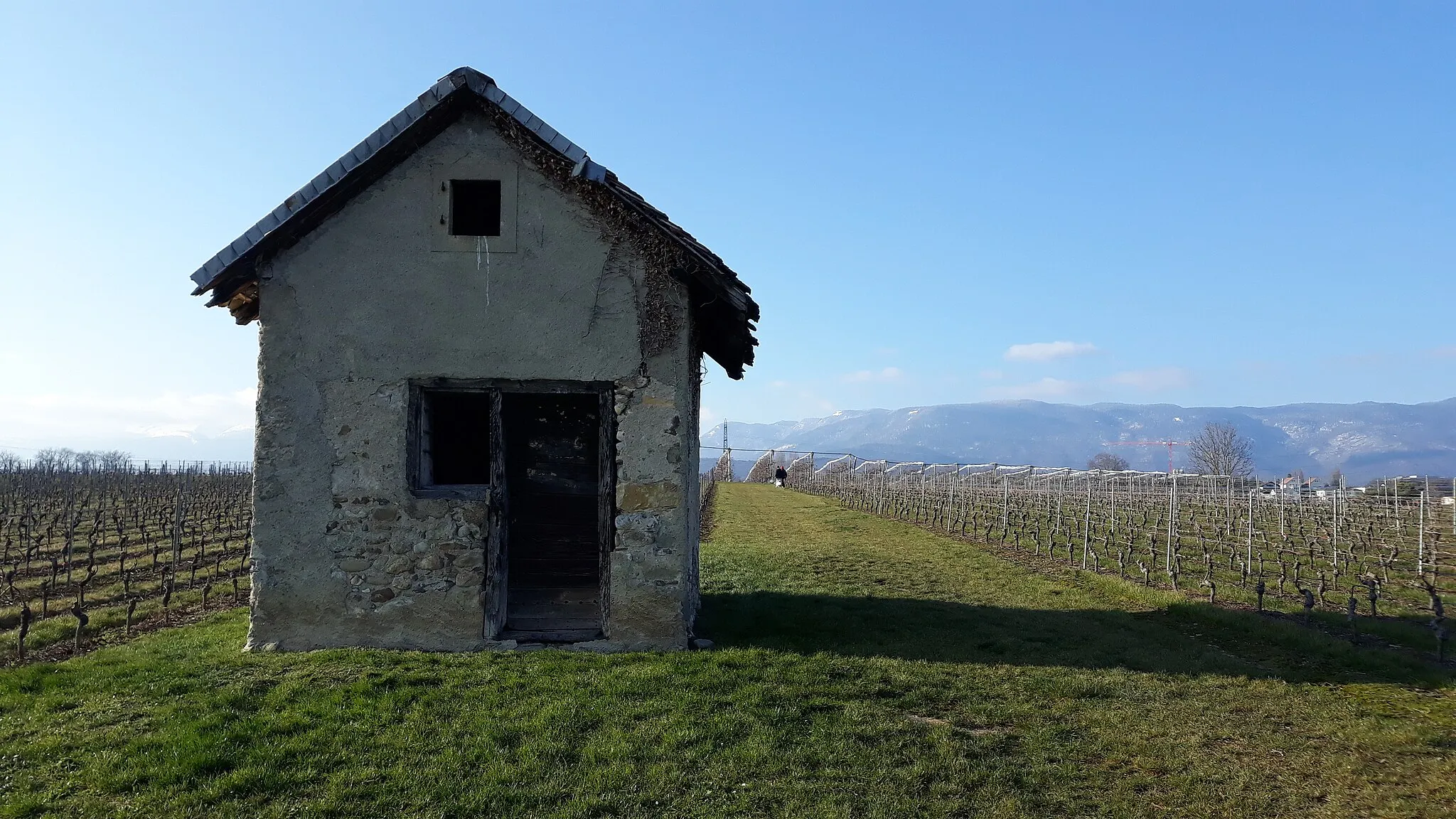 Photo showing: Guerite (winegrower's hut) in Founex Vaud - Switzerland and view of the Jura.