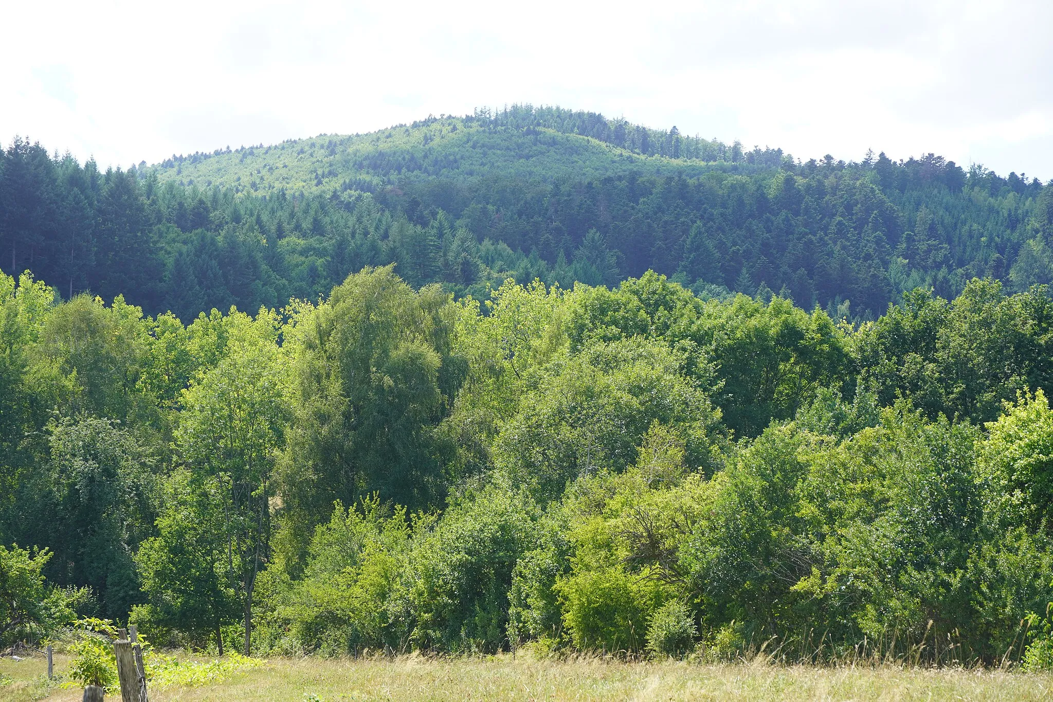 Photo showing: Le Sudel (massif des Vosges).