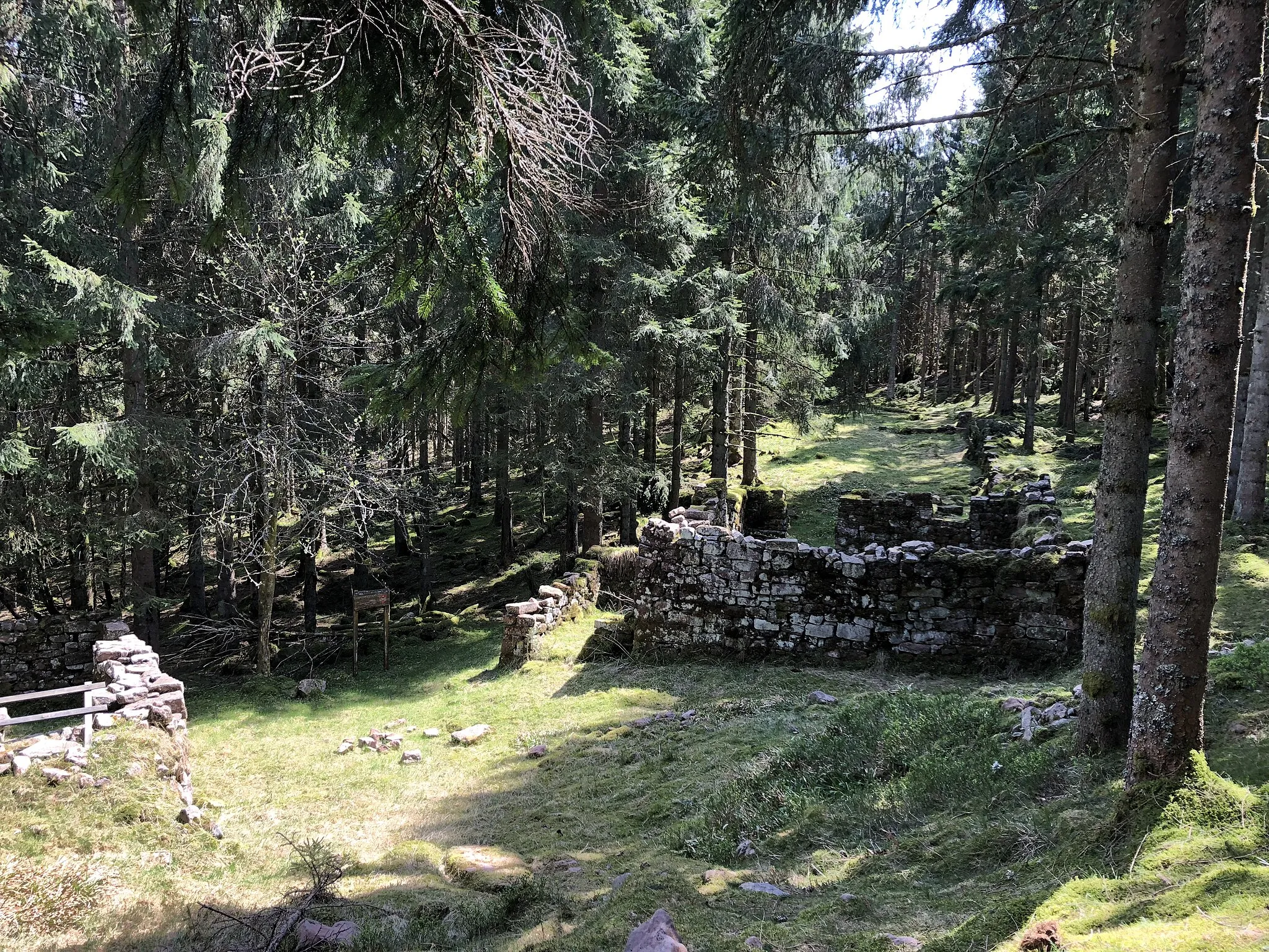 Photo showing: Anciennes marcaireries des Hautes-Chaumes entre Salm et Moussey