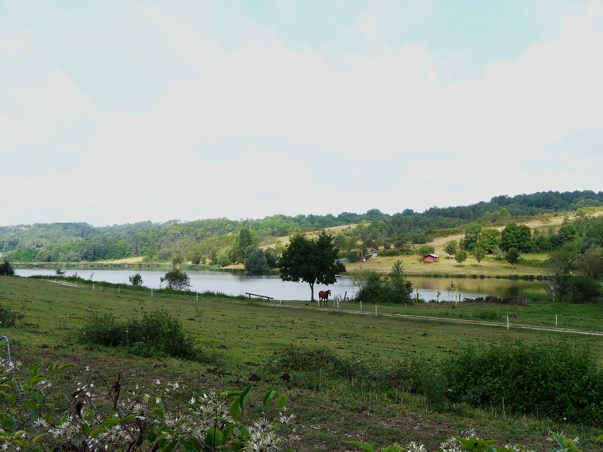 Photo showing: L'étang du Rosier entre Saint-Paul-de-Serre au premier plan et Coursac sur la rive opposée, Dordogne, France.