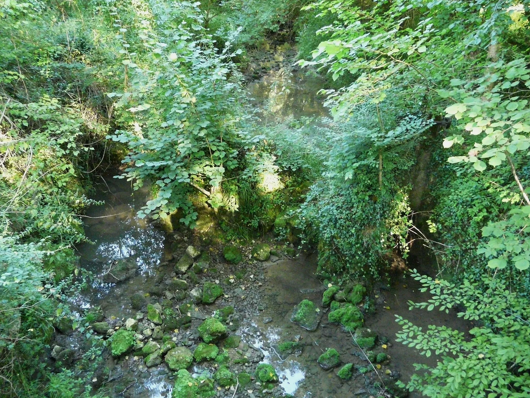 Photo showing: La Gardonnette presque à sec en été (vue vers l'amont), en contrebas du château de Bridoire, en limite des communes de Ribagnac et Rouffignac-de-Sigoulès, Dordogne, France