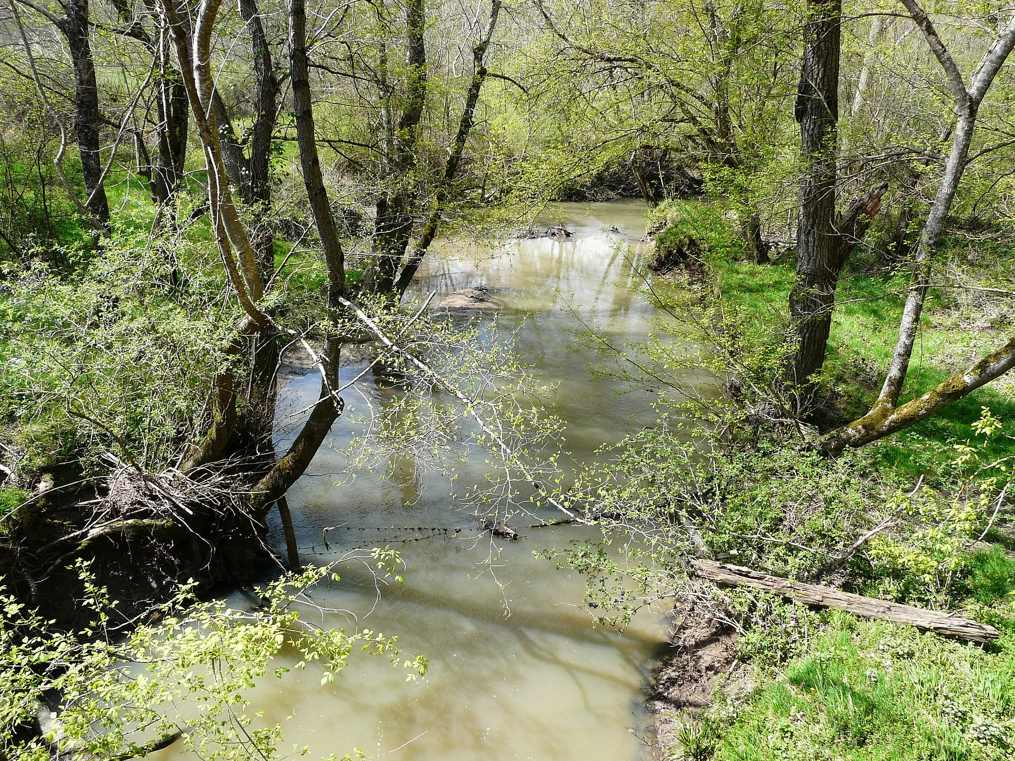 Photo showing: La Lidoire en aval du pont de la route départementale 10 entre Bonneville-et-Saint-Avit-de-Fumadières (à gauche) et Montpeyroux (à droite), Dordogne, France.