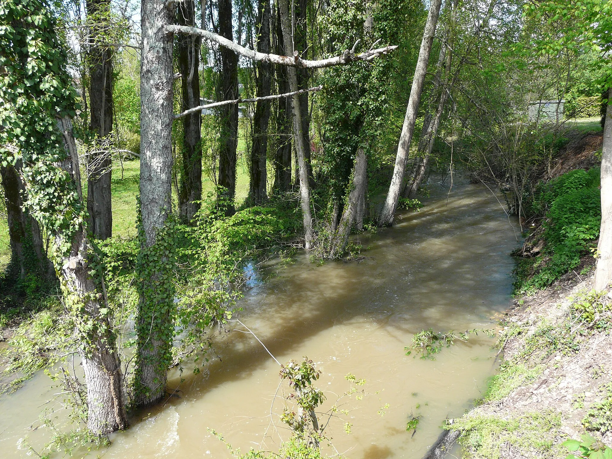 Photo showing: Le  Farganaud en crue, en amont du pont de la route départementale 3, Saint-Laurent-des-Hommes, Dordogne, France.