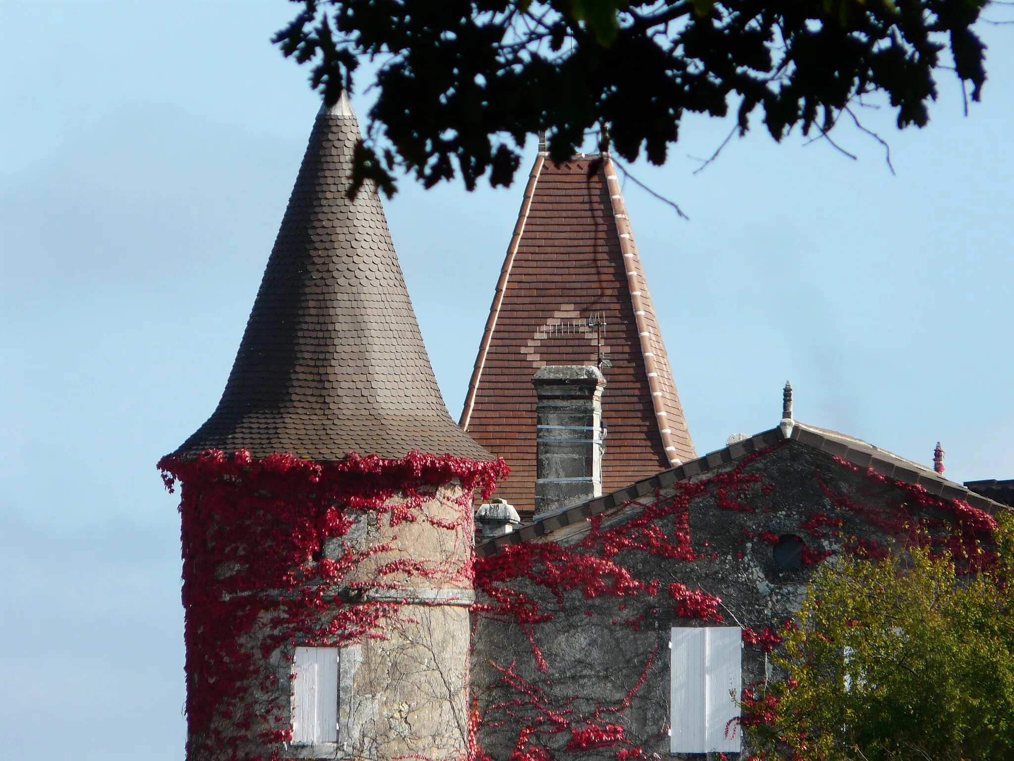 Photo showing: Les tours du château Trompette vu de l'ouest, Vanxains, Dordogne, France