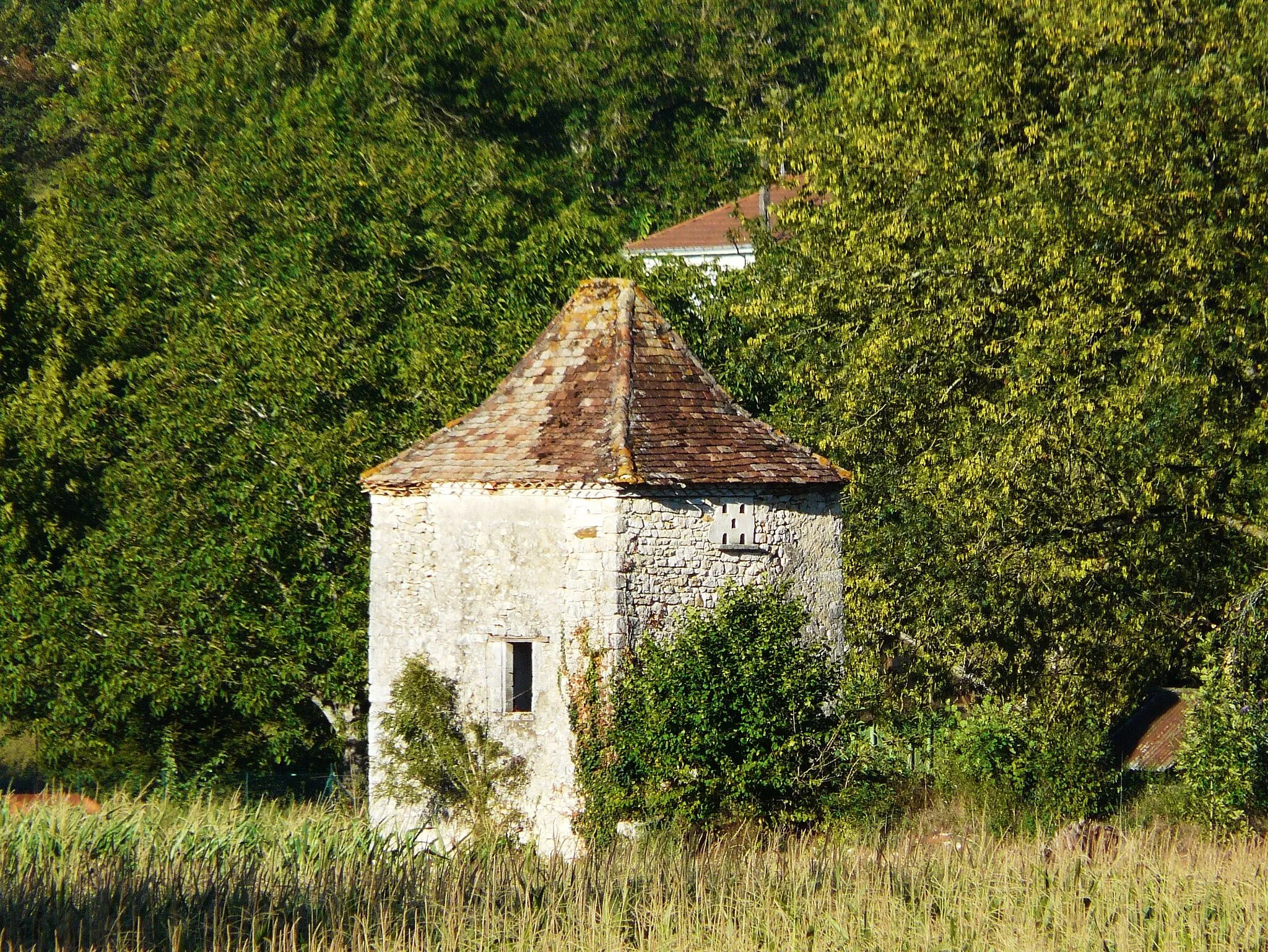 Photo showing: Pigeonnier à l'ouest du bourg de Saint-Vincent-sur-l'Isle, Dordogne, France.