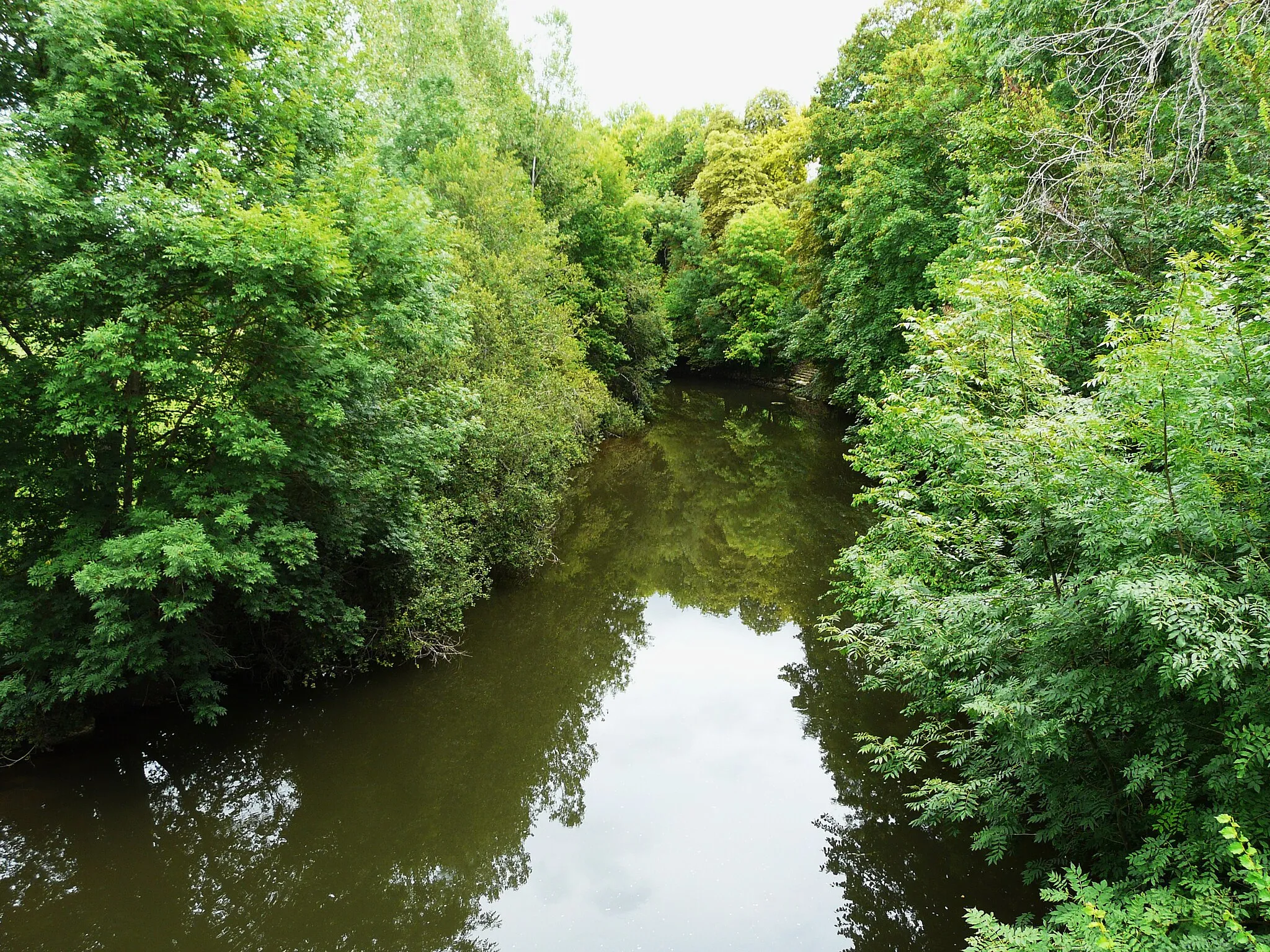 Photo showing: L'Isle en amont du pont de la route départementale 4, au bourg de Mayac, Dordogne, France