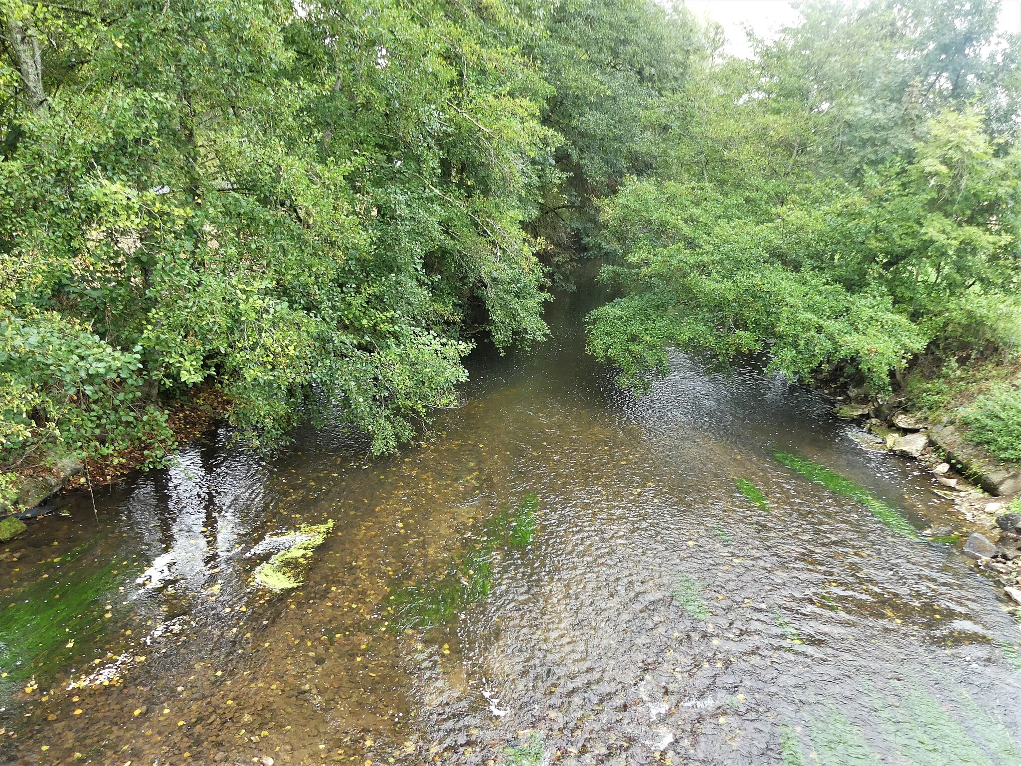 Photo showing: La Loue au pont du bourg de Saint-Pantaly-d'Excideuil, Dordogne, France. Vue prise en direction de l'aval.