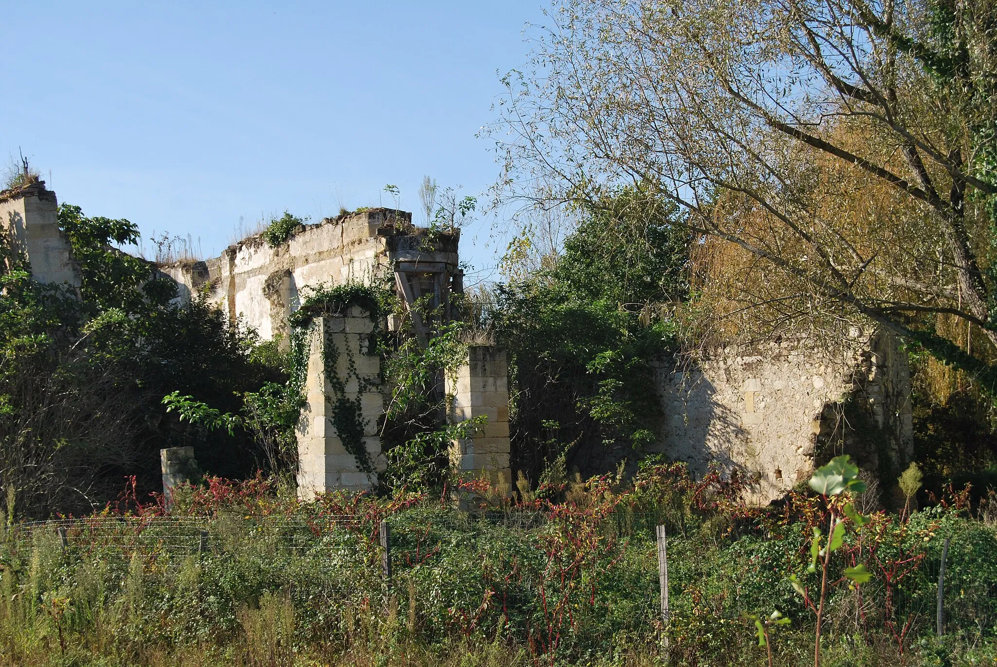 Photo showing: Ruines de l'ancien château d'Anglade à Izon (Gironde)