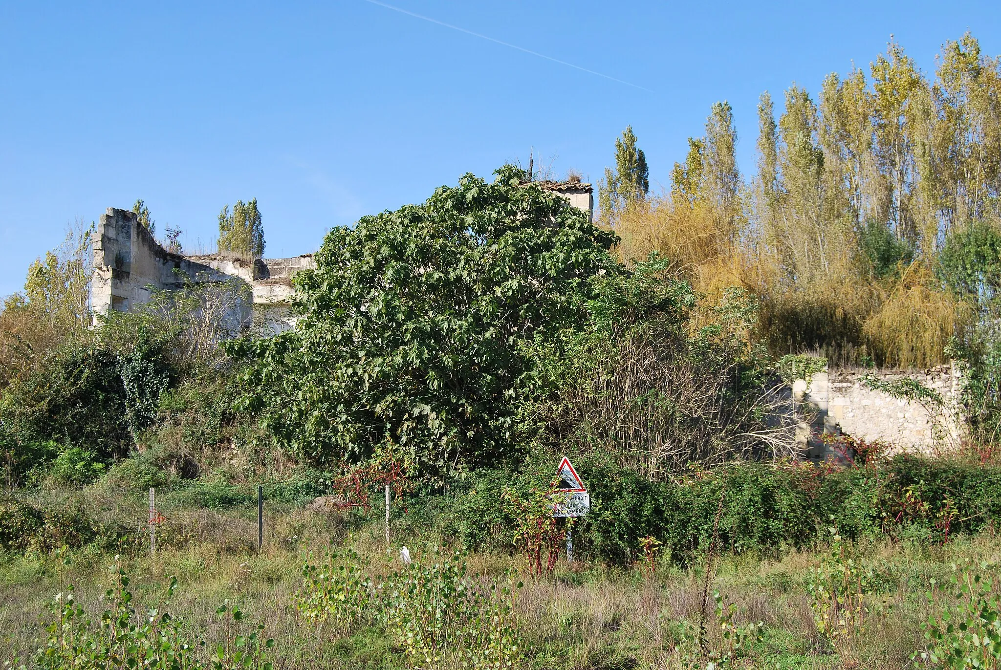 Photo showing: Ruines de l'ancien château d'Anglade à Izon (Gironde)