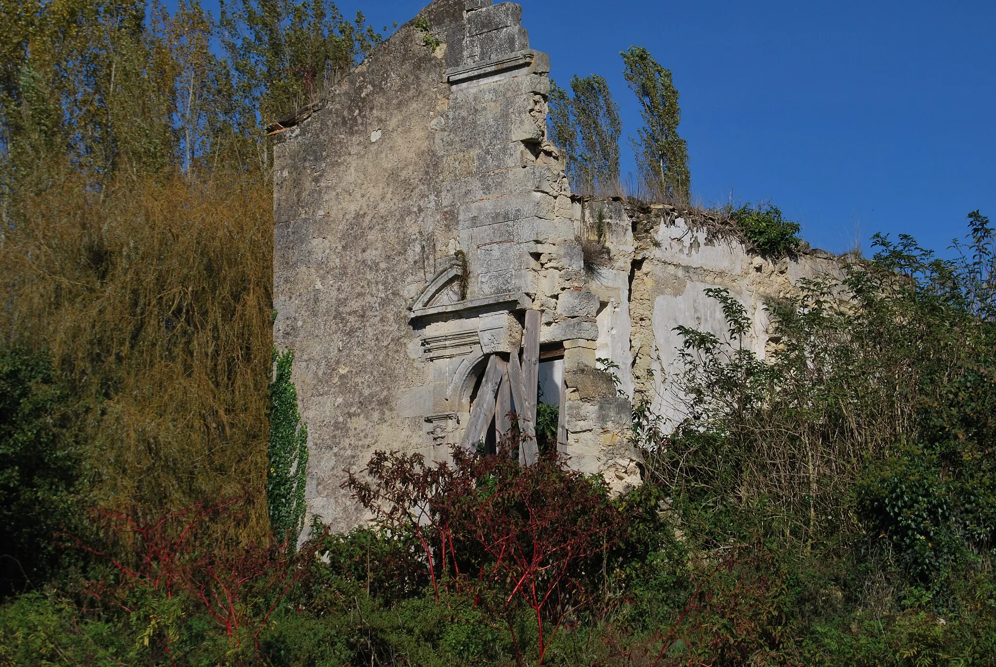 Photo showing: Ruines de l'ancien château d'Anglade à Izon (Gironde)