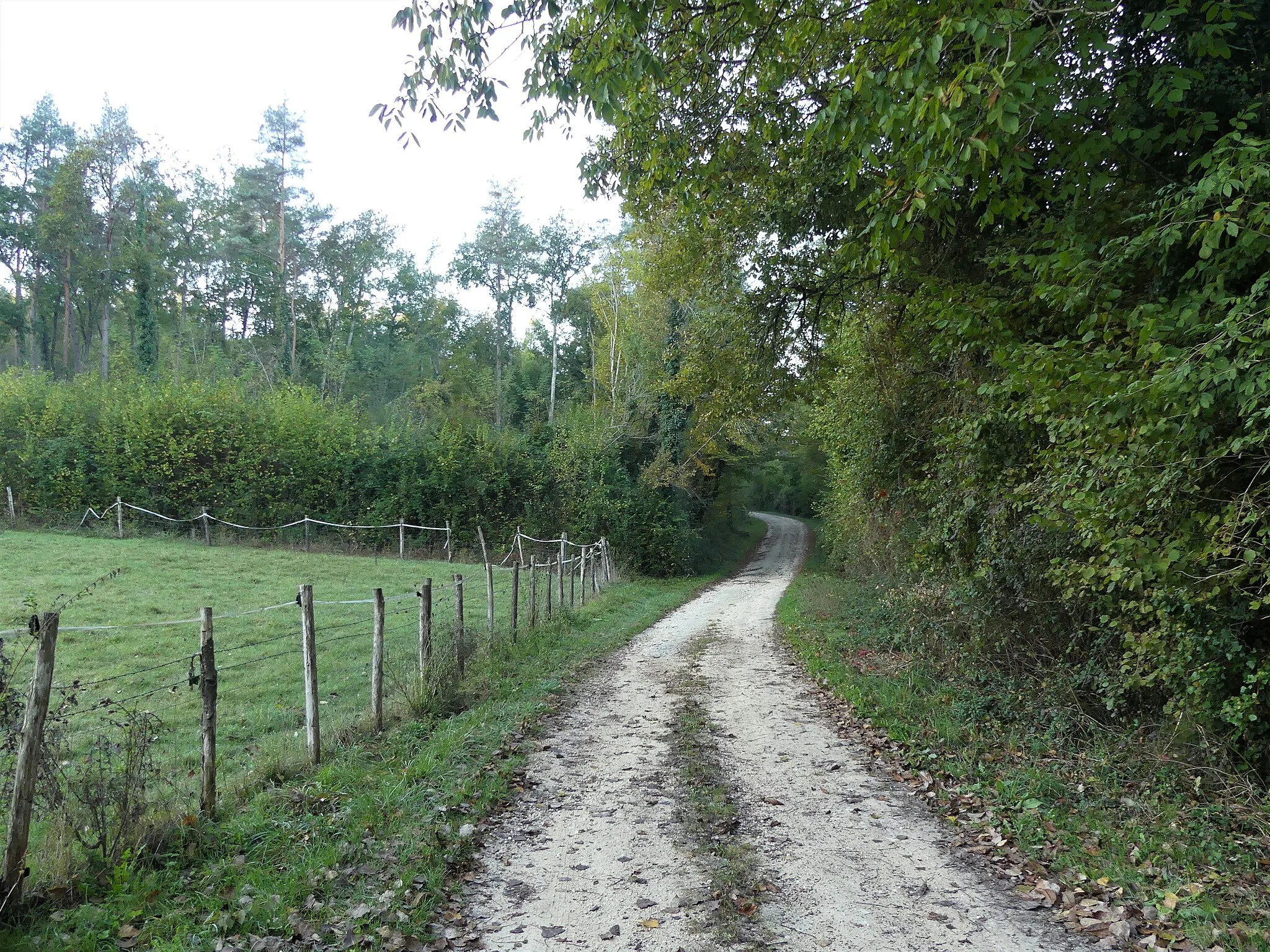 Photo showing: Le sentier de grande randonnée GR 654 près du lieu-dit les Bialles, Maurens, Dordogne, France.