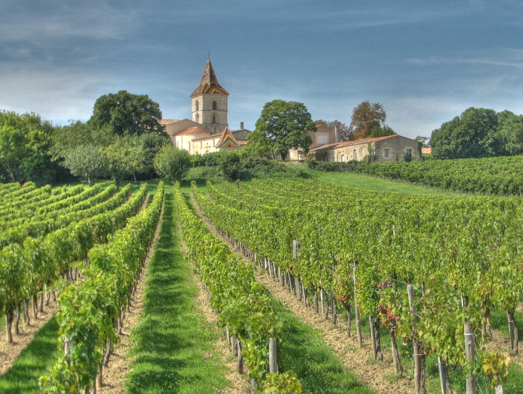 Photo showing: French vineyards in the Bordeaux wine region of Blaye