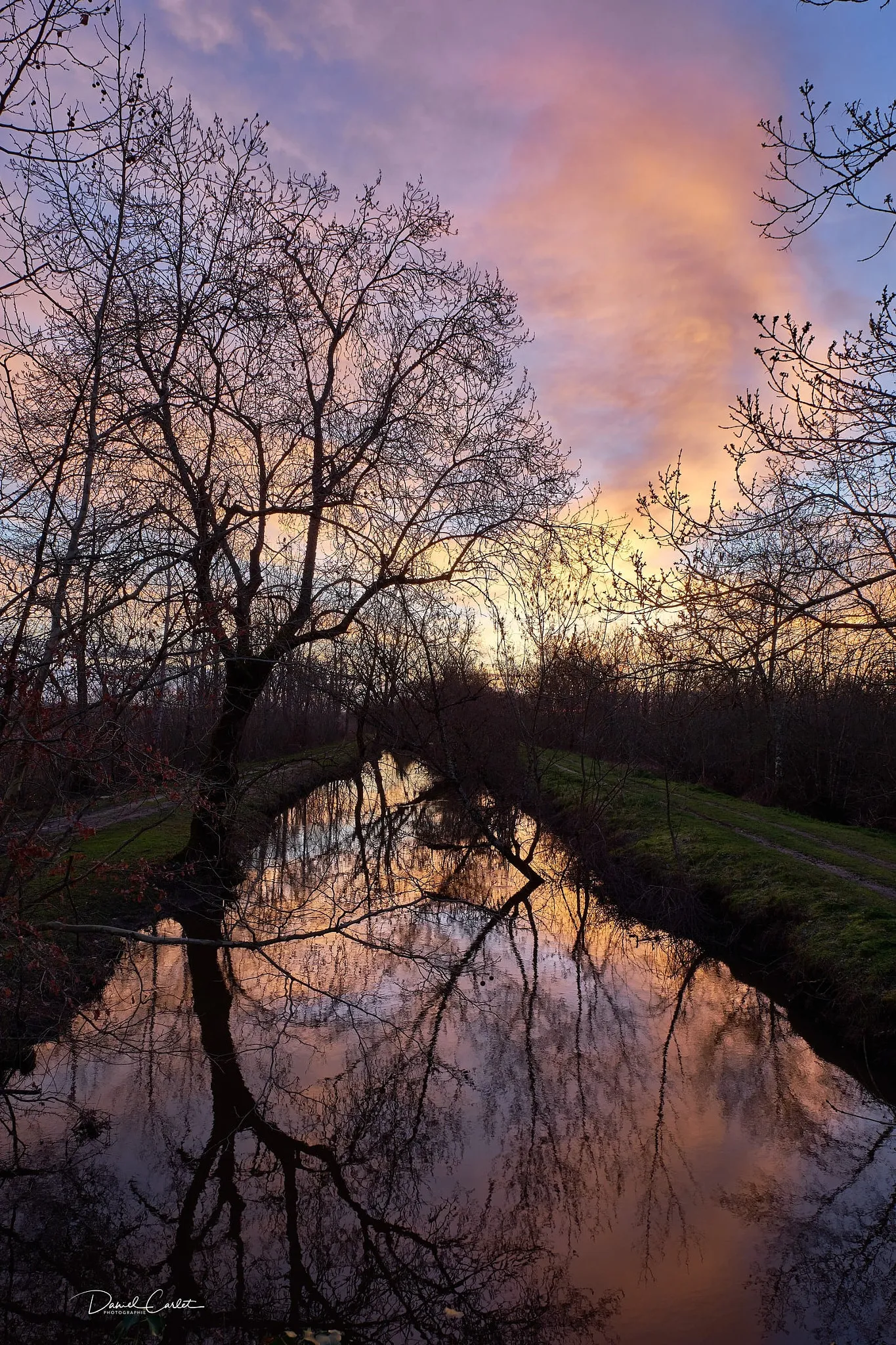 Photo showing: 500px provided description: Les Marais De La Vergne [#landscape ,#sunrise ,#fog ,#tree ,#scene ,#scenery ,#lush foliage ,#boulevard ,#picturesque ,#cannock chase ,#copse ,#michelstadt]