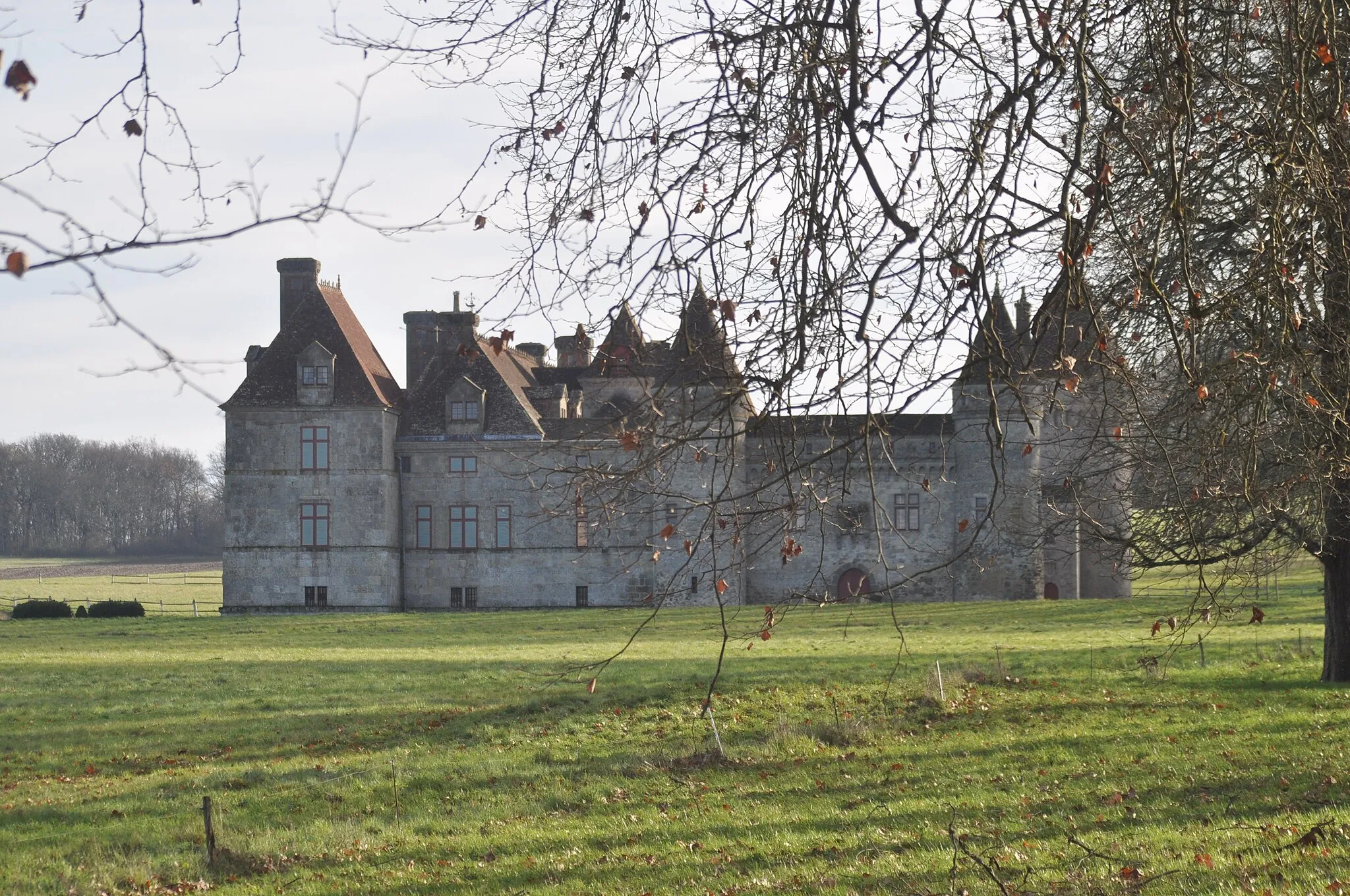 Photo showing: Castillo du Sendat desde el Oeste