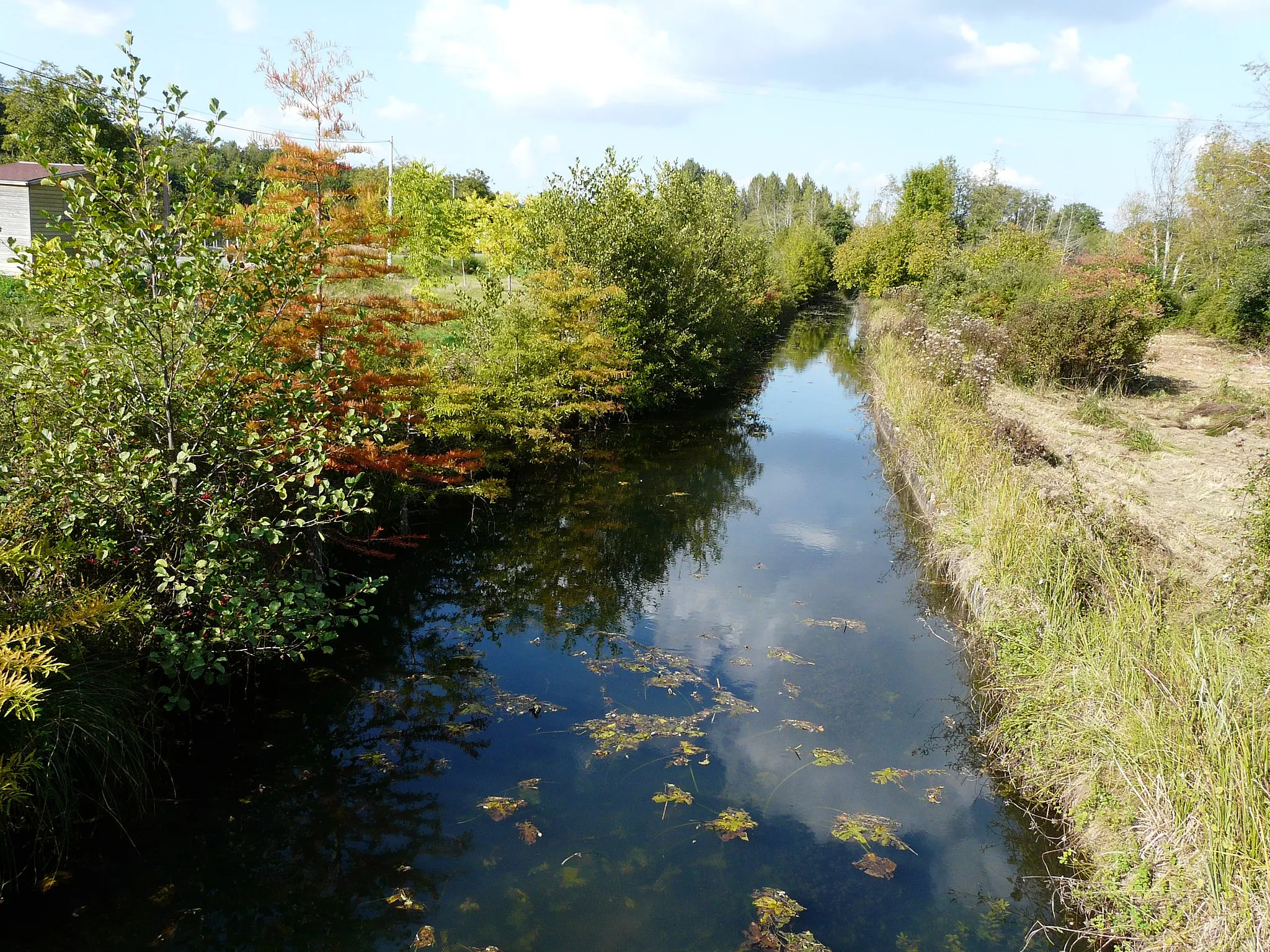 Photo showing: La Beauronne (vue vers l'amont) à Maine moulin, Beauronne, Dordogne, France