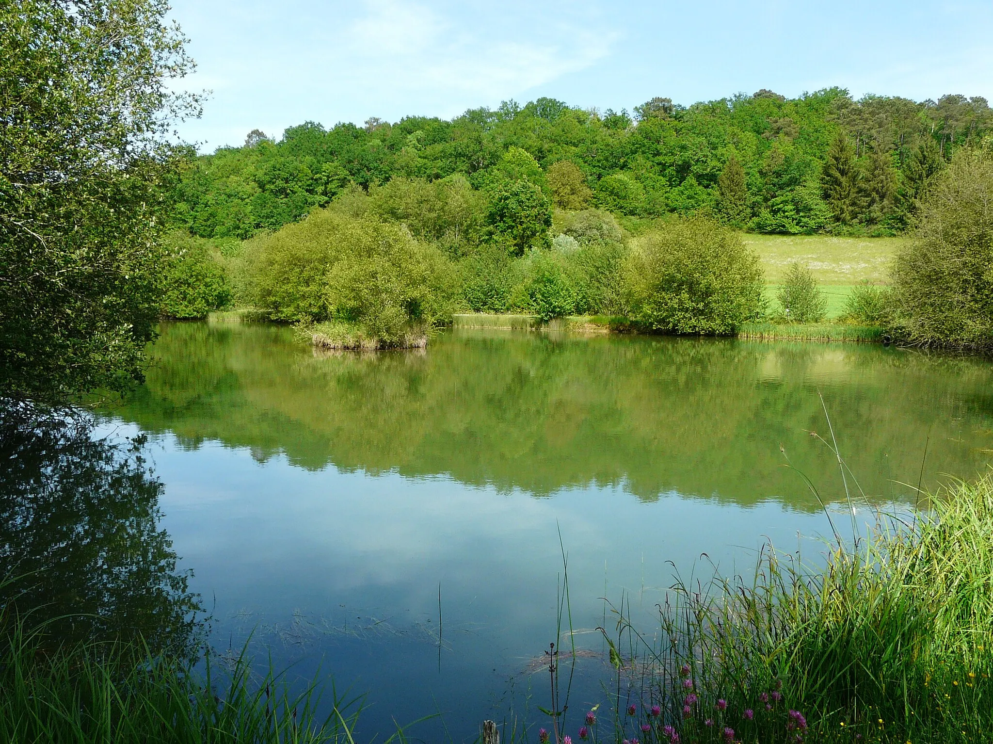 Photo showing: L'étang supérieur du Moulin blanc alimenté par la Crempsoulie à Bourgnac, Dordogne, France.