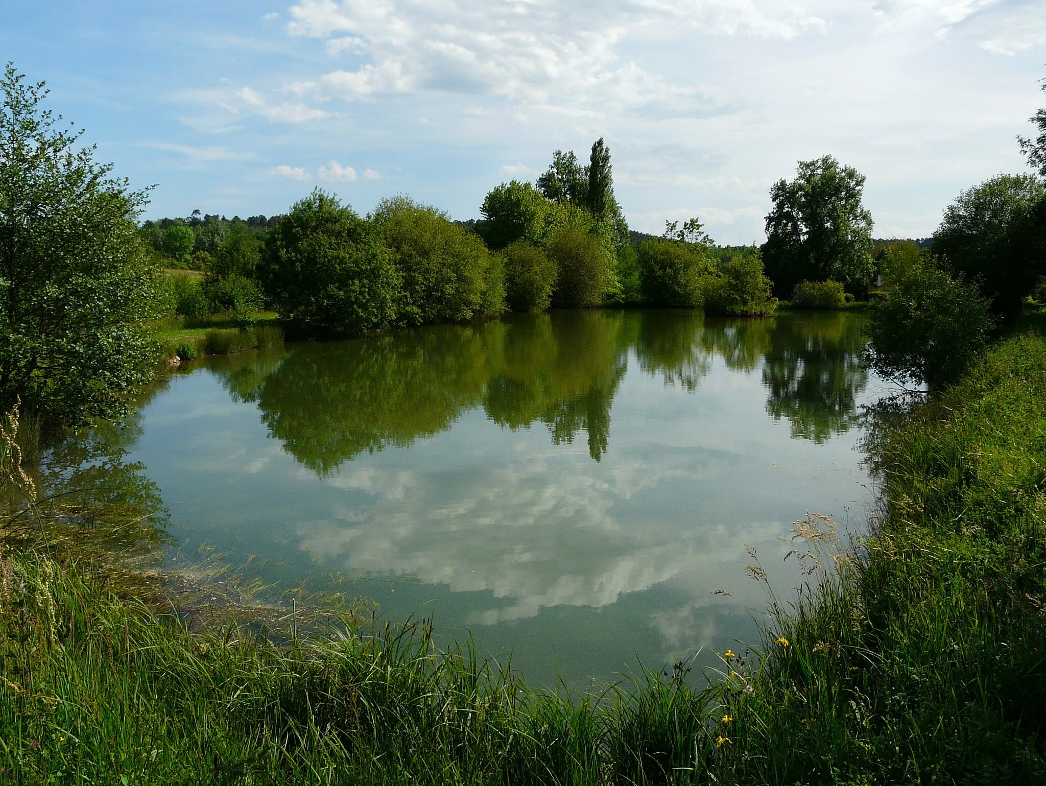 Photo showing: L'étang supérieur du Moulin blanc alimenté par la Crempsoulie à Bourgnac, Dordogne, France.