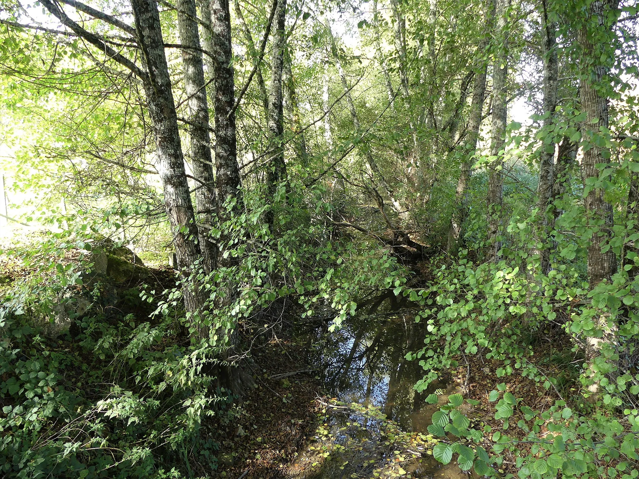 Photo showing: Le bras occidental du Caudeau au nord du lieu-dit la Forge, en limite de Saint-Georges-de-Montclard (à gauche) et Clermont-de-Beauregard, Dordogne, France. Vue prise en direction de l'amont.