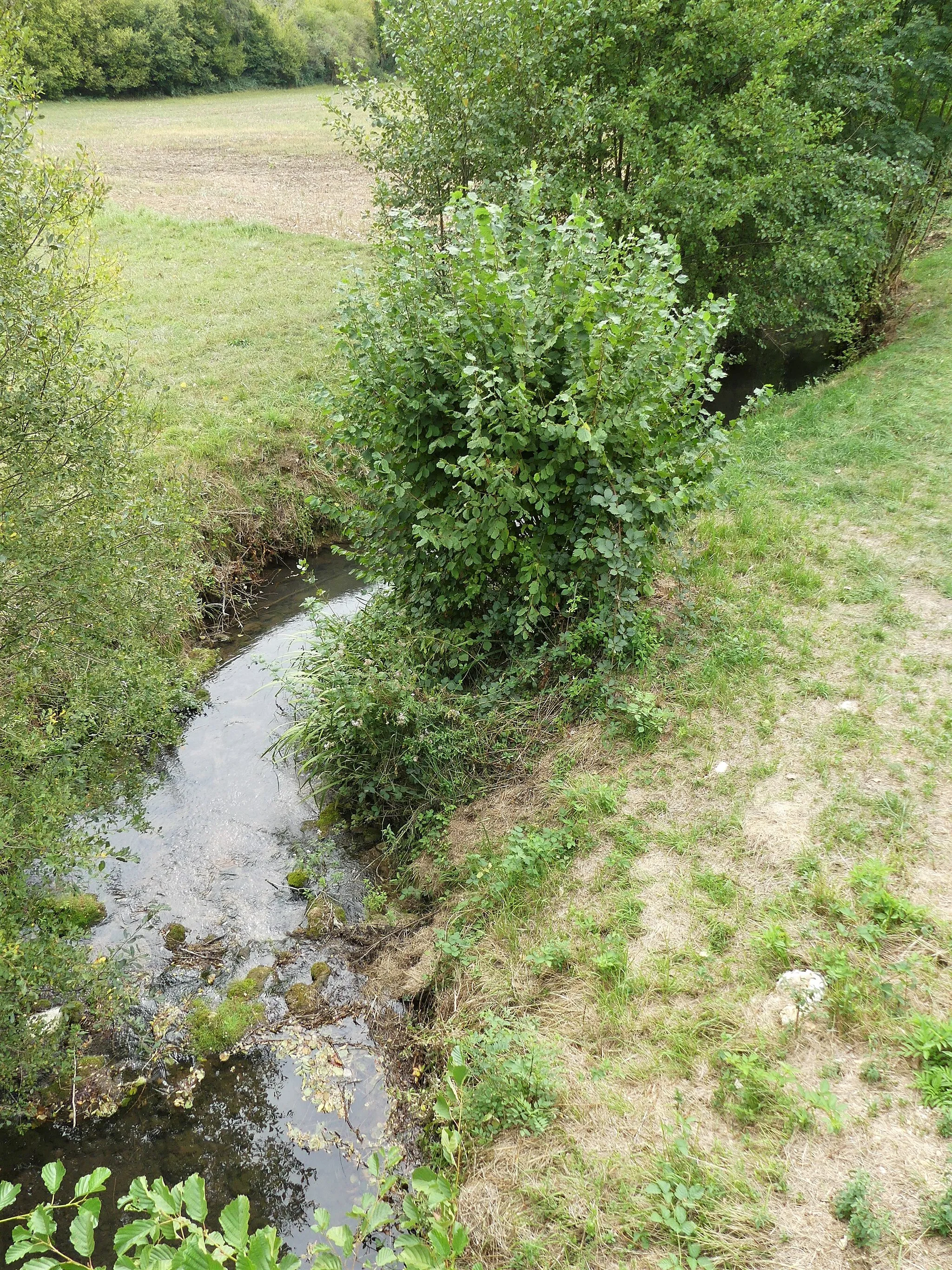 Photo showing: La Couze au pont de la route départementale 2, entre Saint-Avit-Rivière (à gauche) et Montferrand-du-Périgord (à droite), Dordogne, France. Vue prise en direction de l'aval.