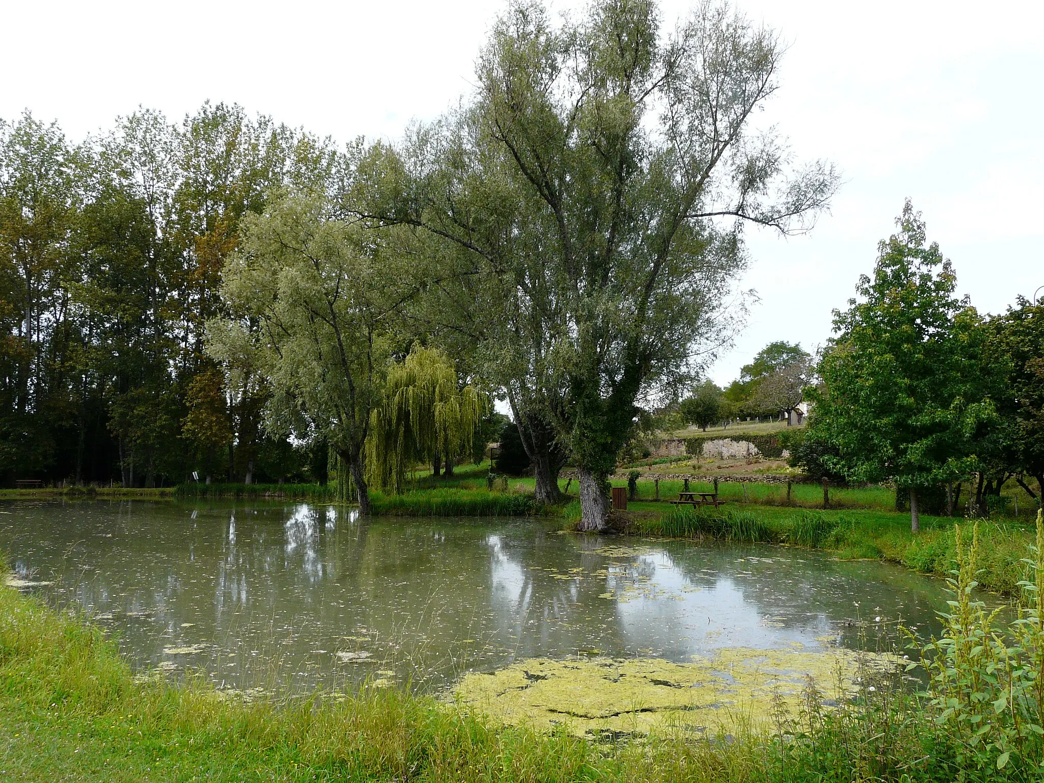 Photo showing: Étang alimenté par la Sérouze en bordure de Pressignac, Pressignac-Vicq, Dordogne, France.