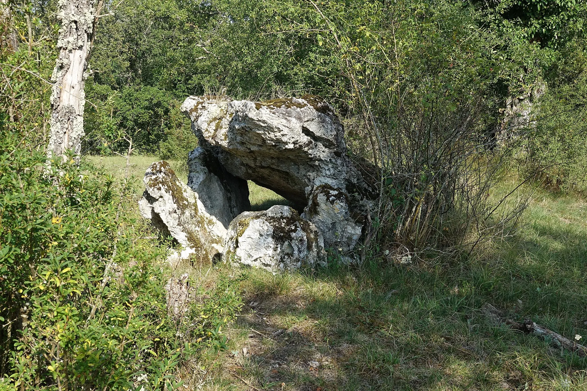 Photo showing: Dolmen la Peyrelevade, très mauvais état.