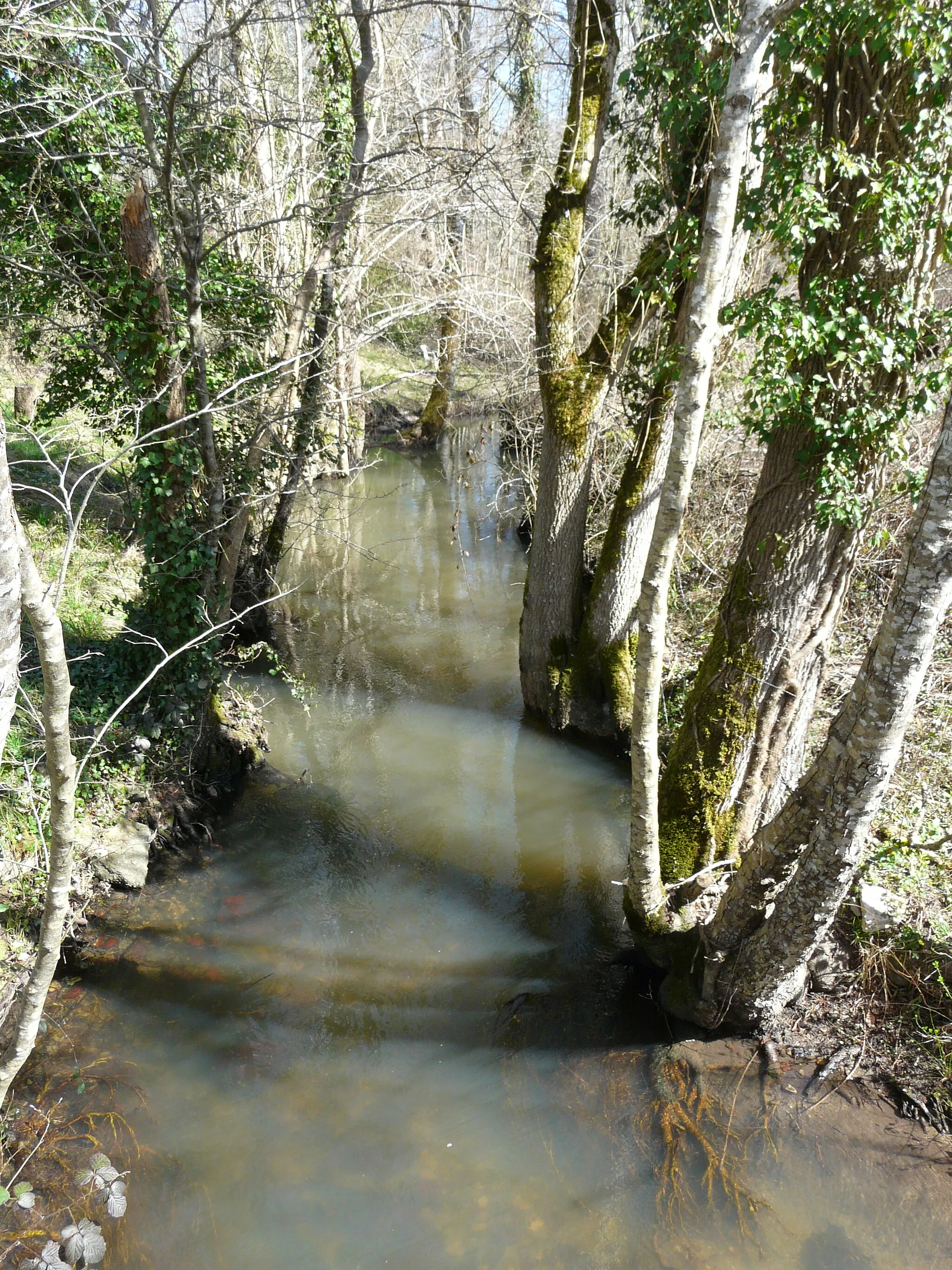 Photo showing: La Beauronne au lieu-dit les Planches, entre Saint-Jean-d'Ataux (à gauche) et Saint-Germain-du-Salembre (à droite), Dordogne, France. Vue prise en direction de l'amont.direction de l'aval.