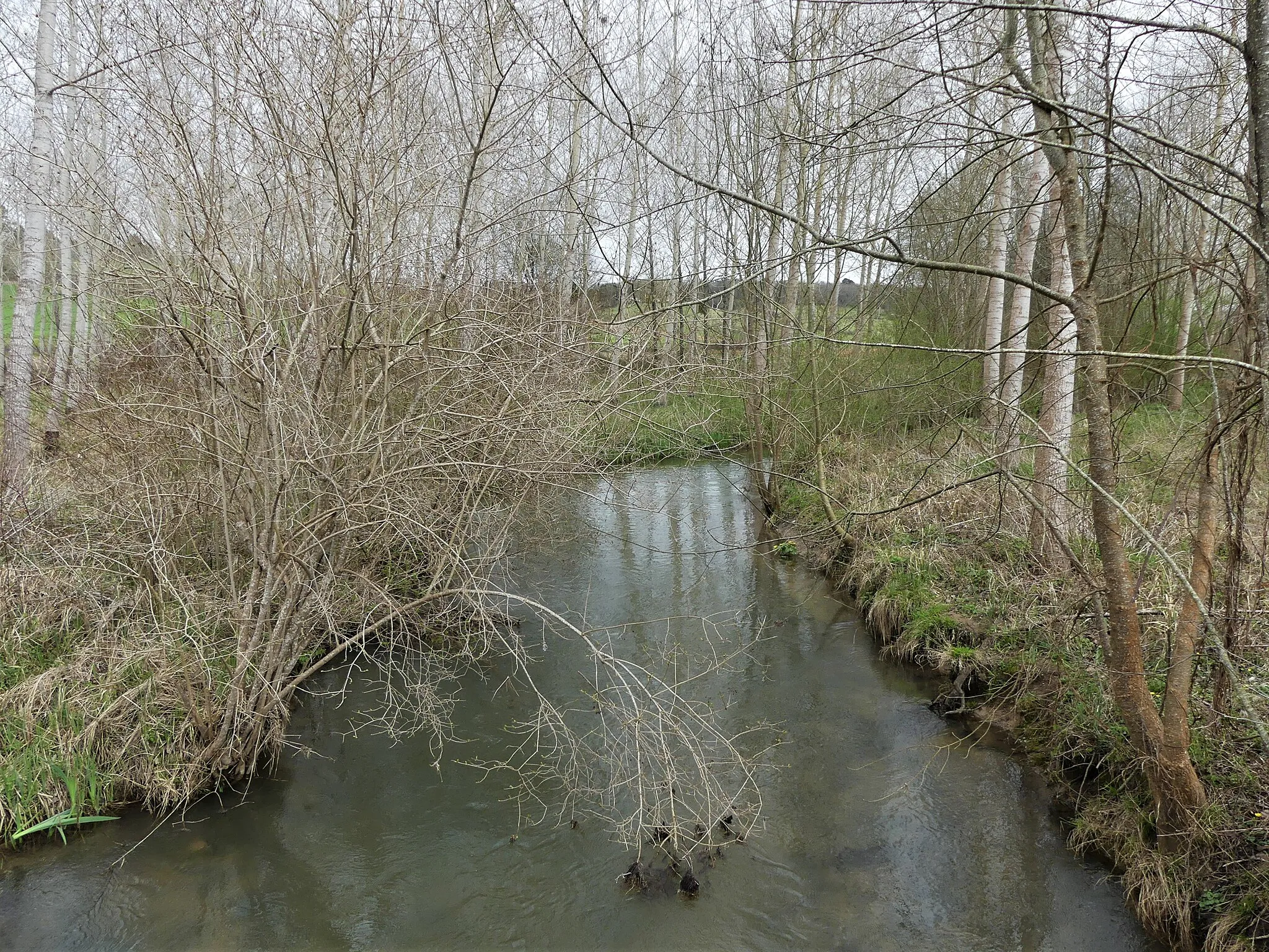 Photo showing: La Crempse au sud du lieu-dit Goiran, en limites de Saint-Hilaire-d'Estissac (à gauche) et Beleymas (en rive opposée), Dordogne, France. Vue prise en direction de l'amont.