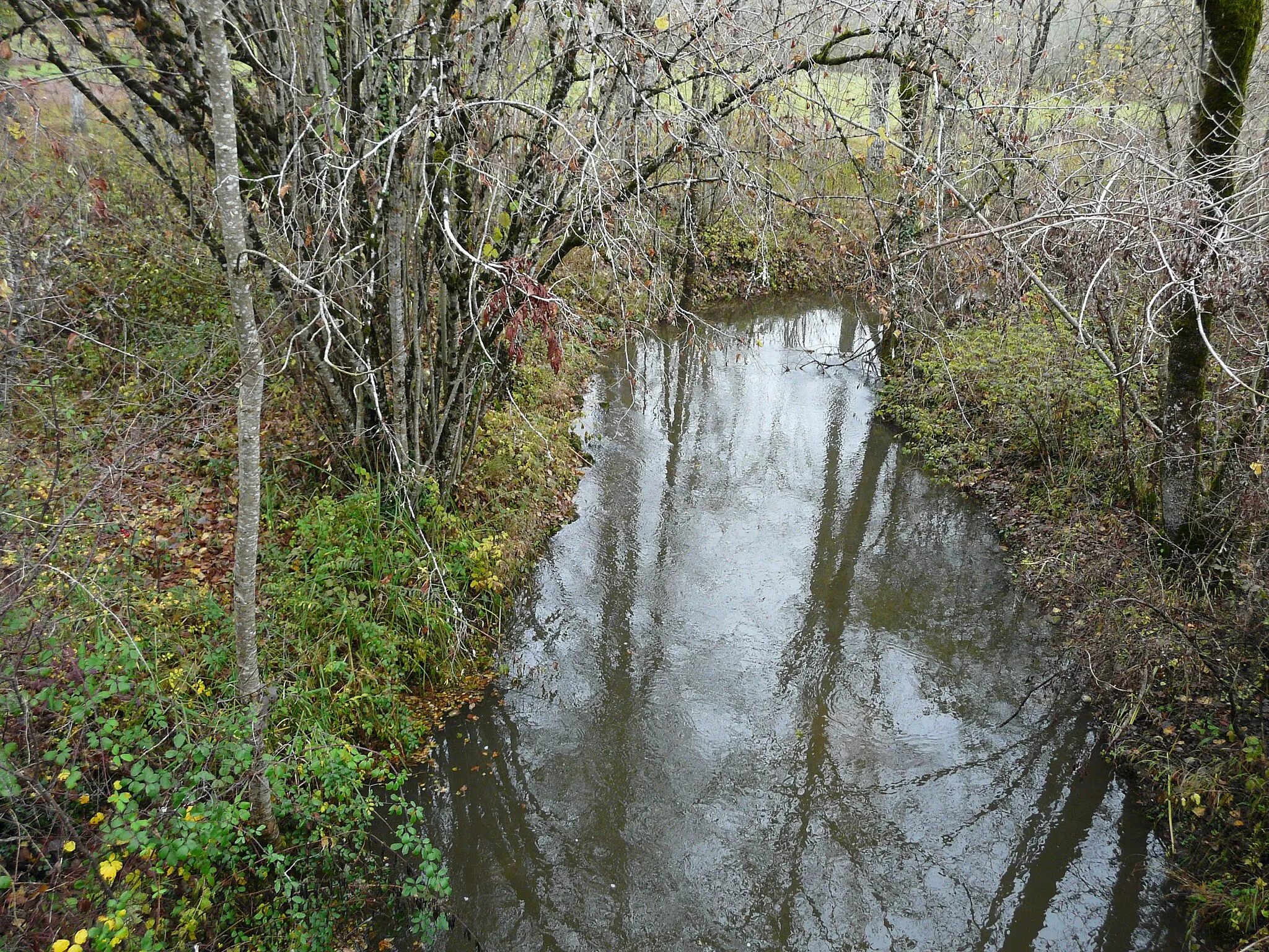 Photo showing: Ruisseau le Boulou vu vers l'amont, entre les Quatre Fonts et les Guichards. À gauche, Paussac-et-Saint-Vivien, à droite, Saint-Julien-de-Bourdeilles.