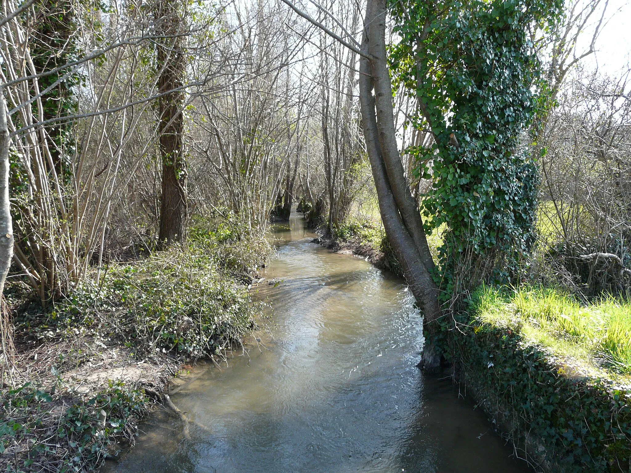 Photo showing: La Peychay au lieu-dit les Peyronnets, entre Saint-Méard-de-Drône (à gauche) et Saint-Martin-de-Ribérac (à droite). Vue prise en direction de l'amontl.