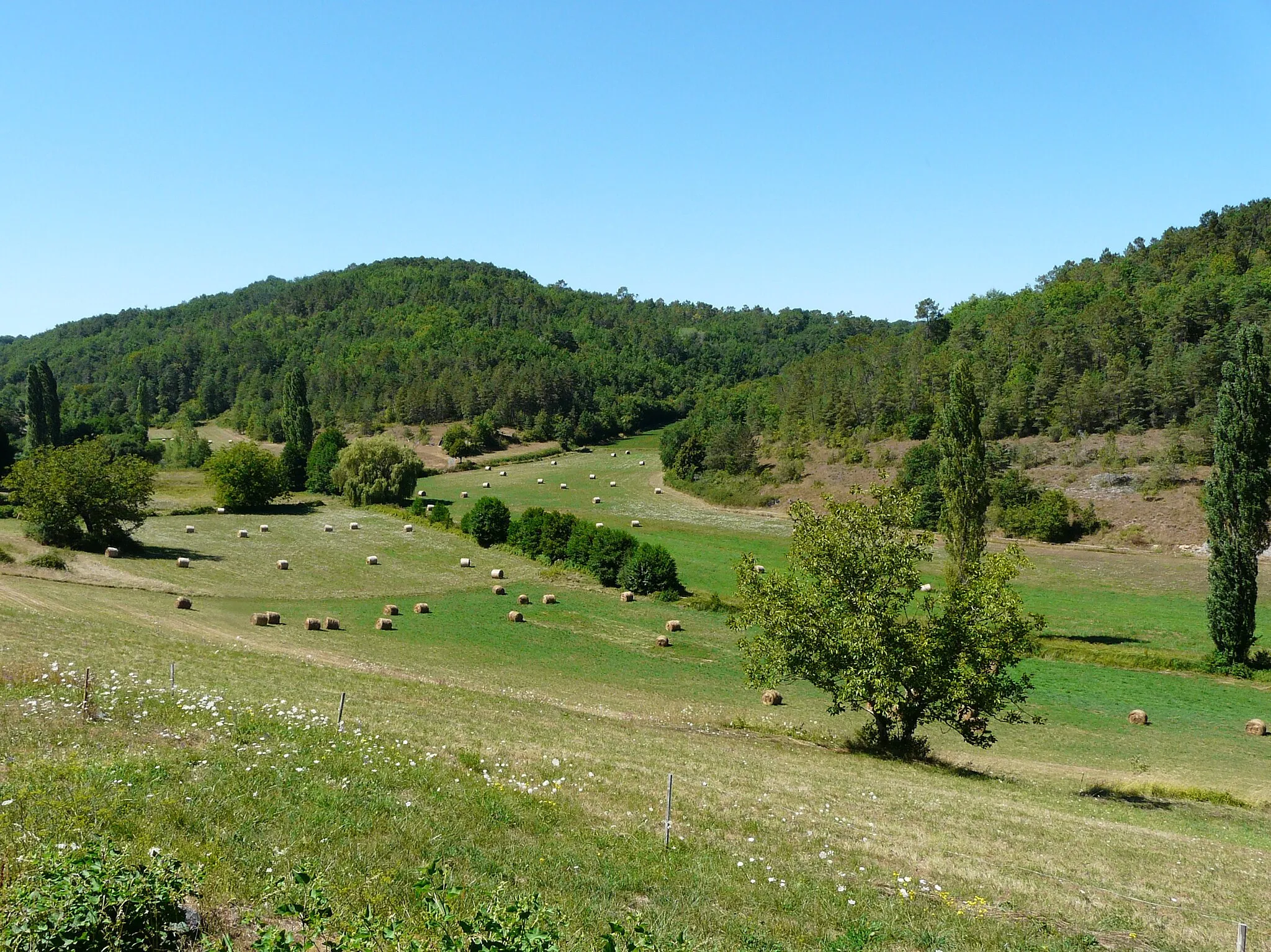 Photo showing: Le vallon du ruisseau de Savignac, Savignac-de-Miremont, Dordogne, France.