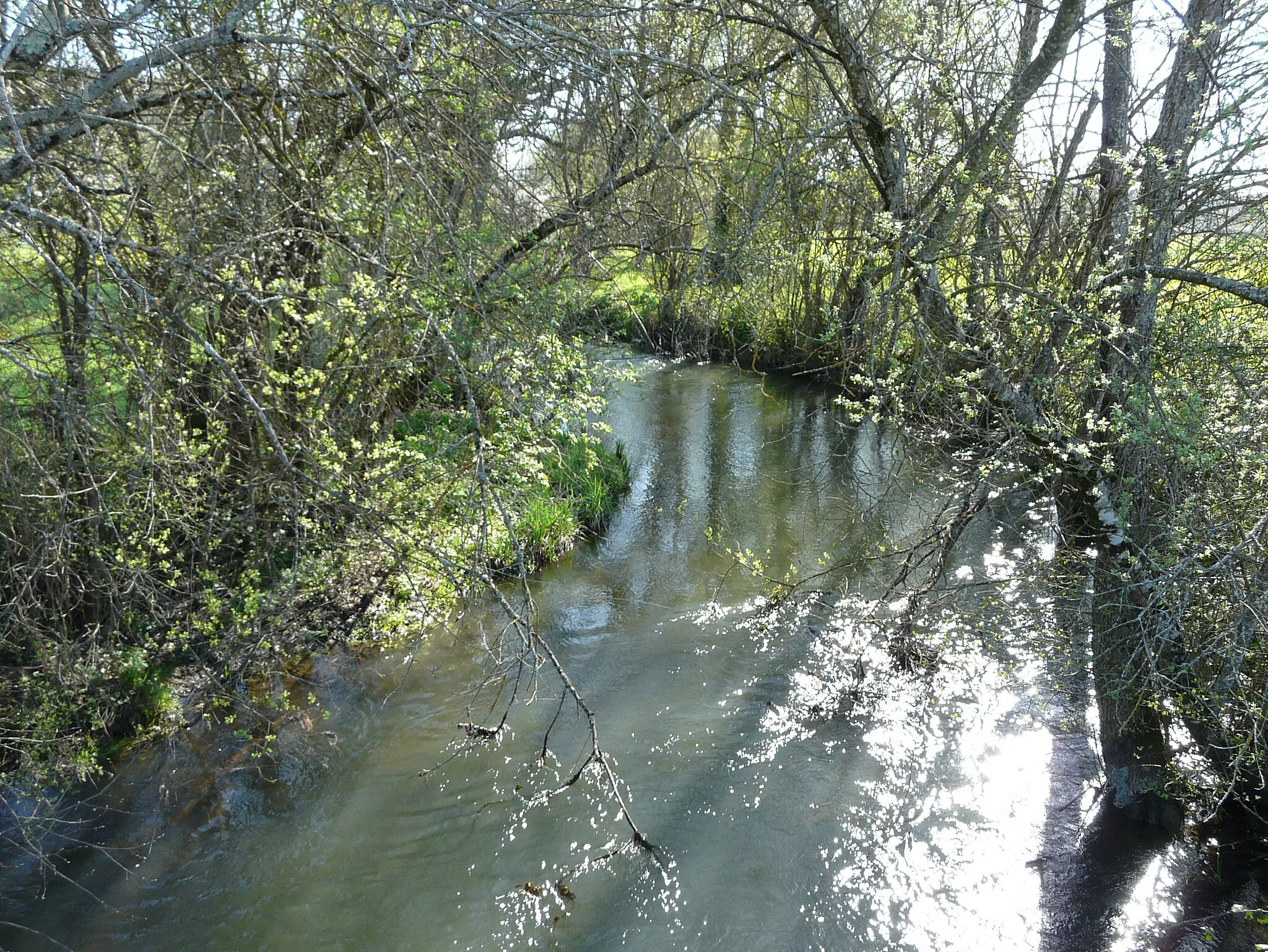 Photo showing: Le Vern près du lieu-dit Combalou, en limites de Neuvic (à gauche) et Vallereuil (à droite) ; Dordogne, France. Vue prise en direction de l'amont.